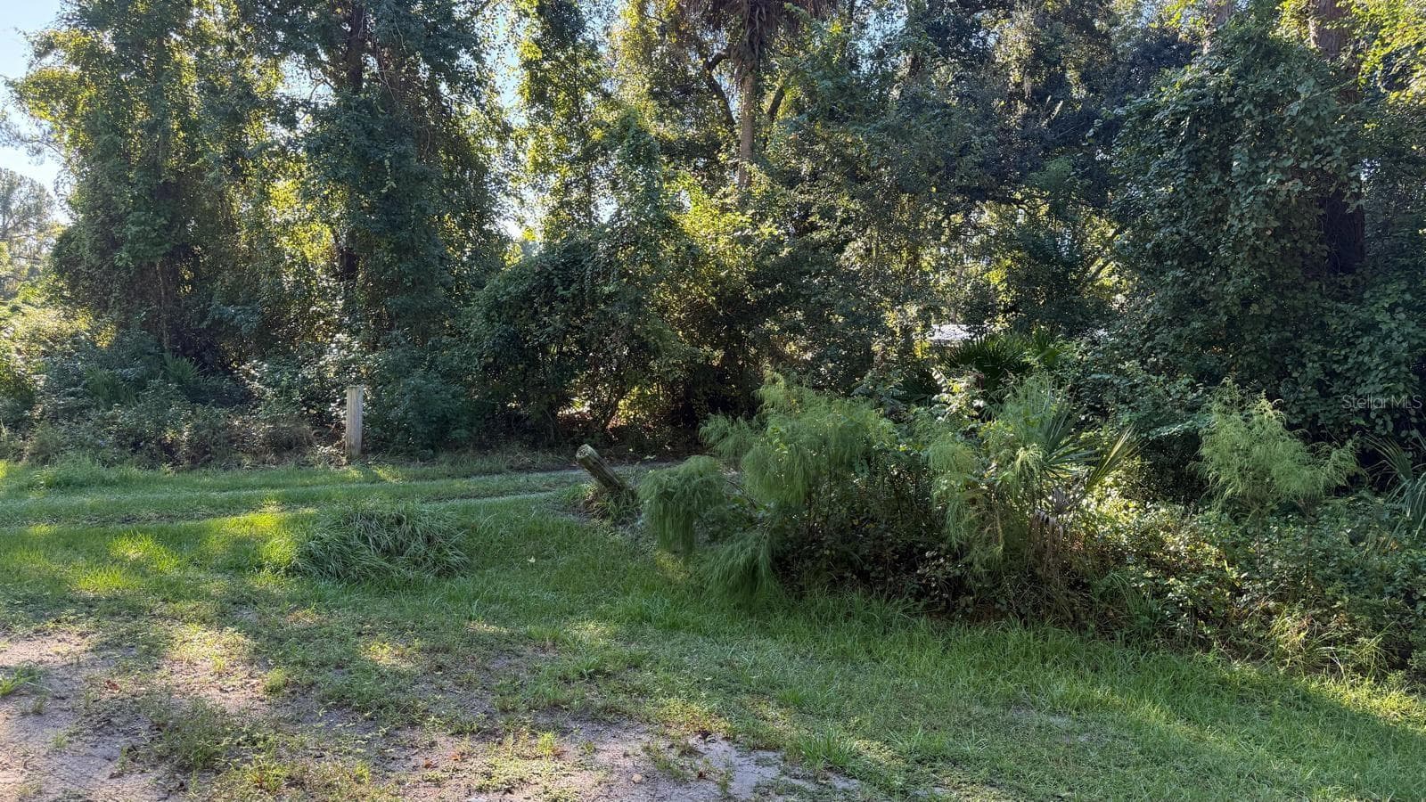 Land at 433 GARDENIA AVE, GEORGETOWN, photo 10 of 22