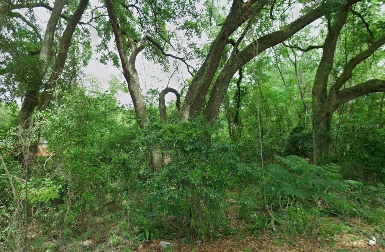 Land at Lot 64 NE 162 ST, CITRA, photo 2 of 4