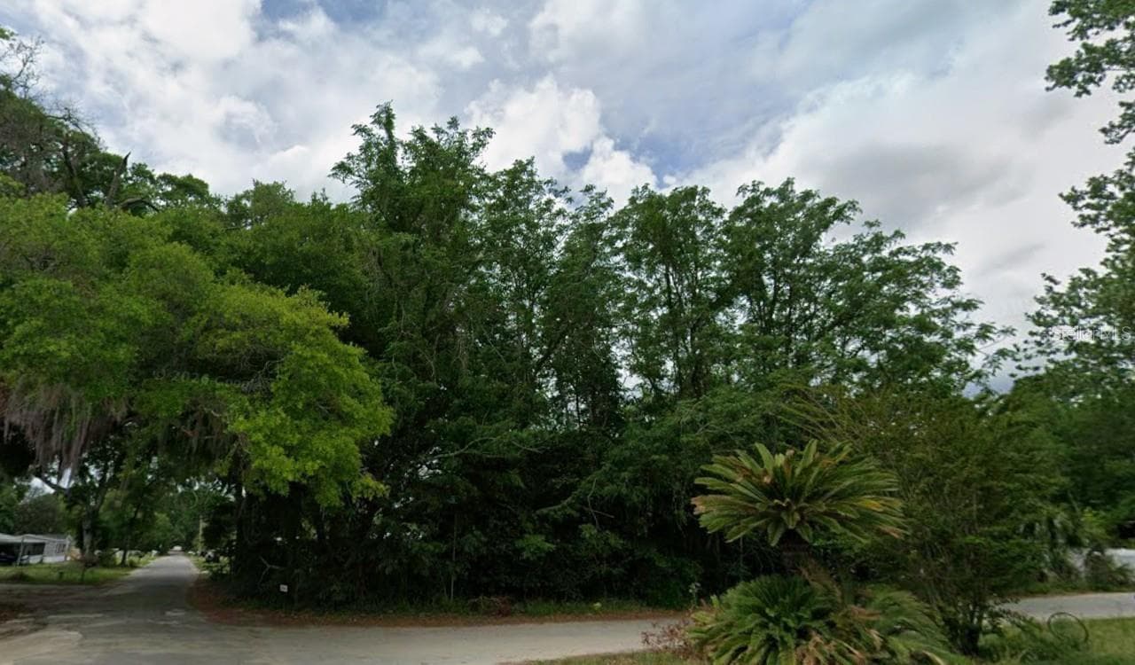 Land at Lot 64 NE 162 ST, CITRA, photo 3 of 4