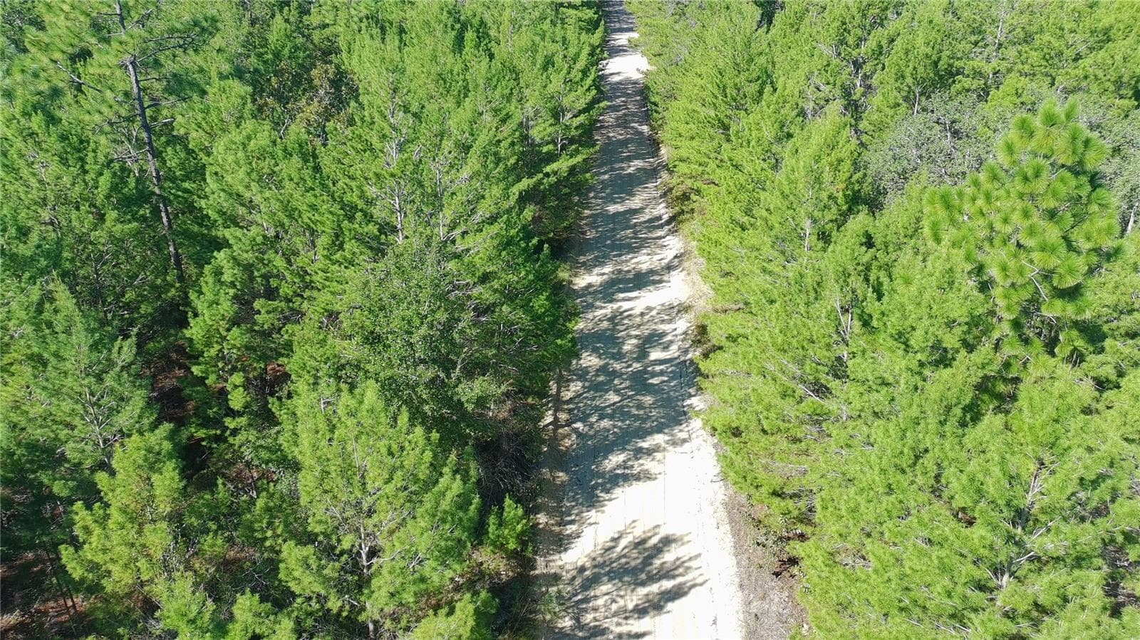 Land at 1802 FERN AVE, INTERLACHEN, photo 8 of 13