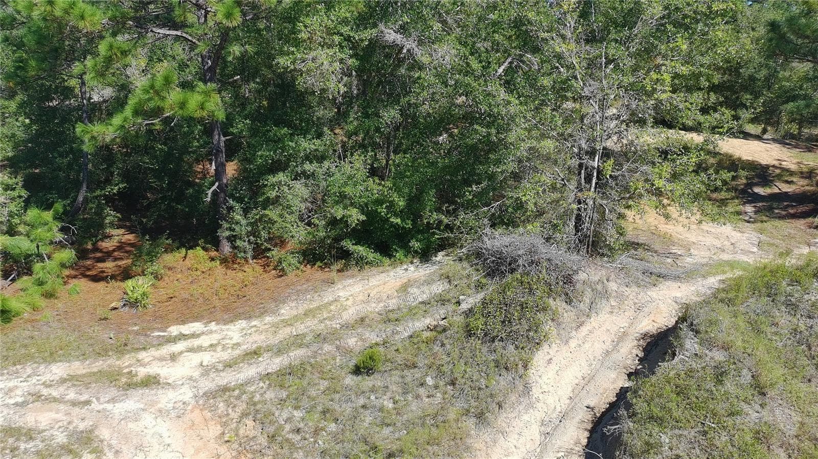 Land at 1402 TWIN LAKES BLVD, INTERLACHEN, photo 15 of 18