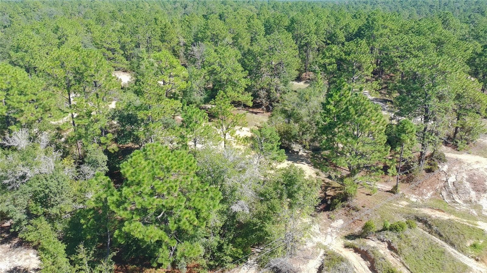 Land at 1404 TWIN LAKES BLVD, INTERLACHEN, photo 6 of 18