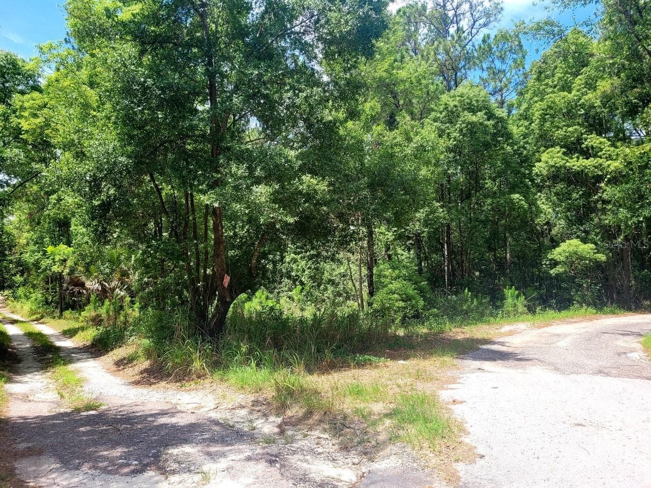 Land at TROPICAL DR, EUSTIS, photo 6 of 19