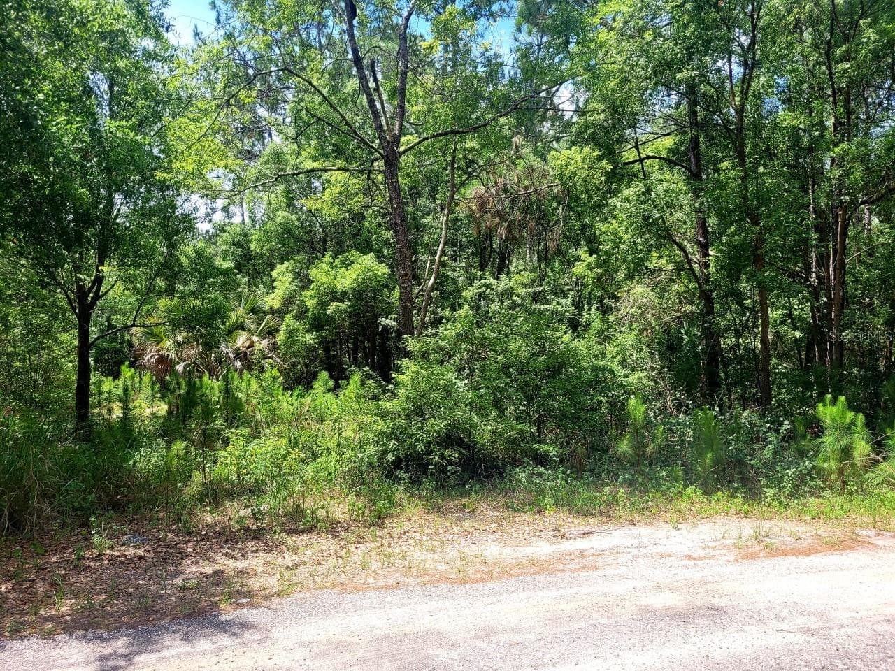 Land at TROPICAL DR, EUSTIS, photo 15 of 19