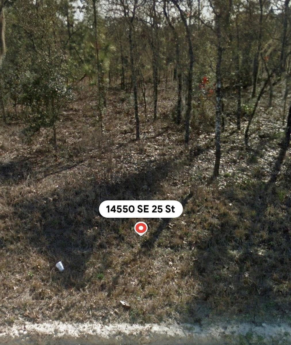 Land at 14550 SE 25TH ST, MORRISTON, photo 4 of 6