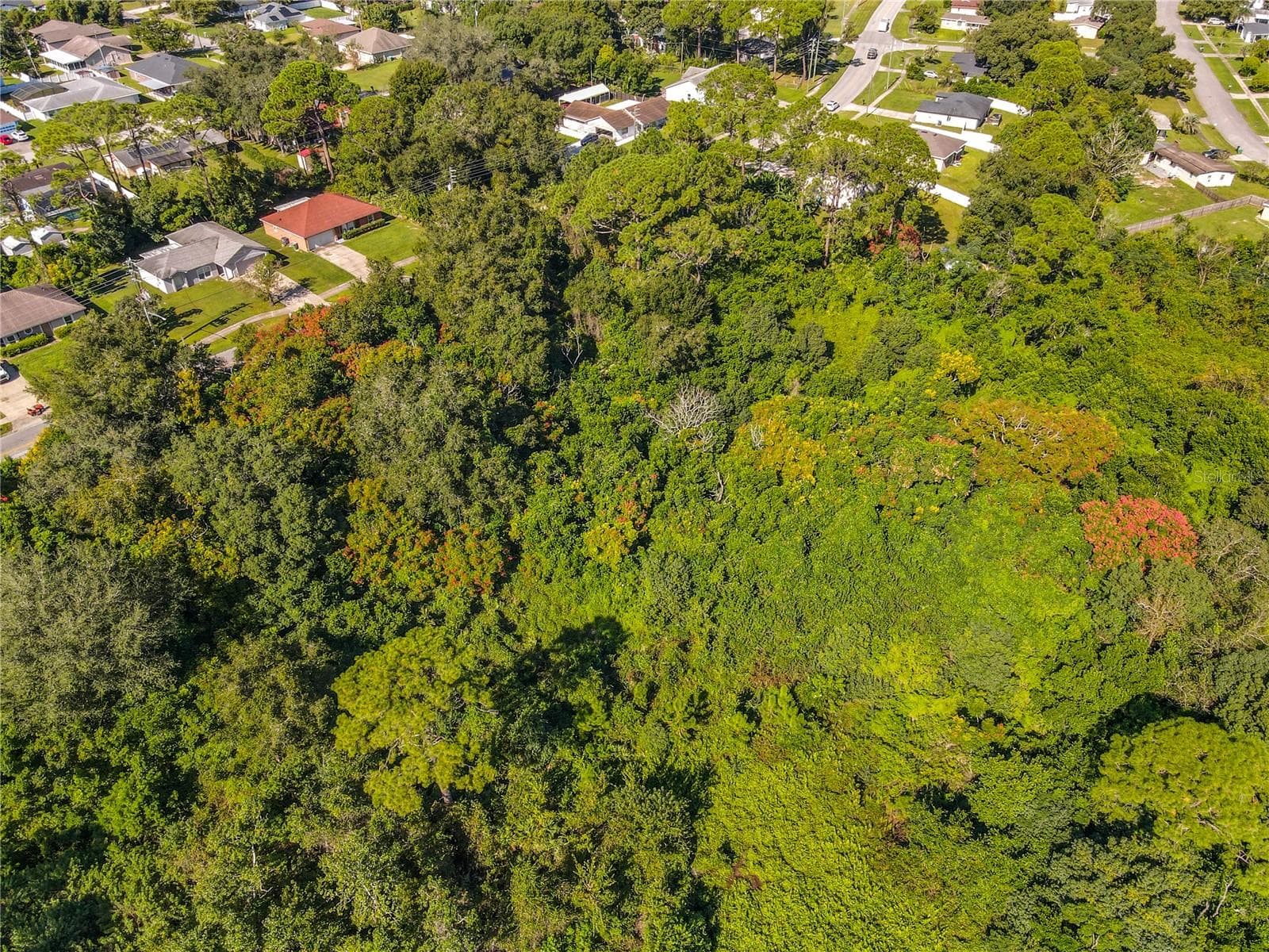 Land at 839 LARK CT, DELTONA, photo 21 of 31