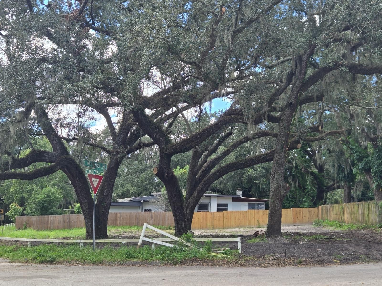 View of a corner lot from the street - FERN CLIFF, TAMPA