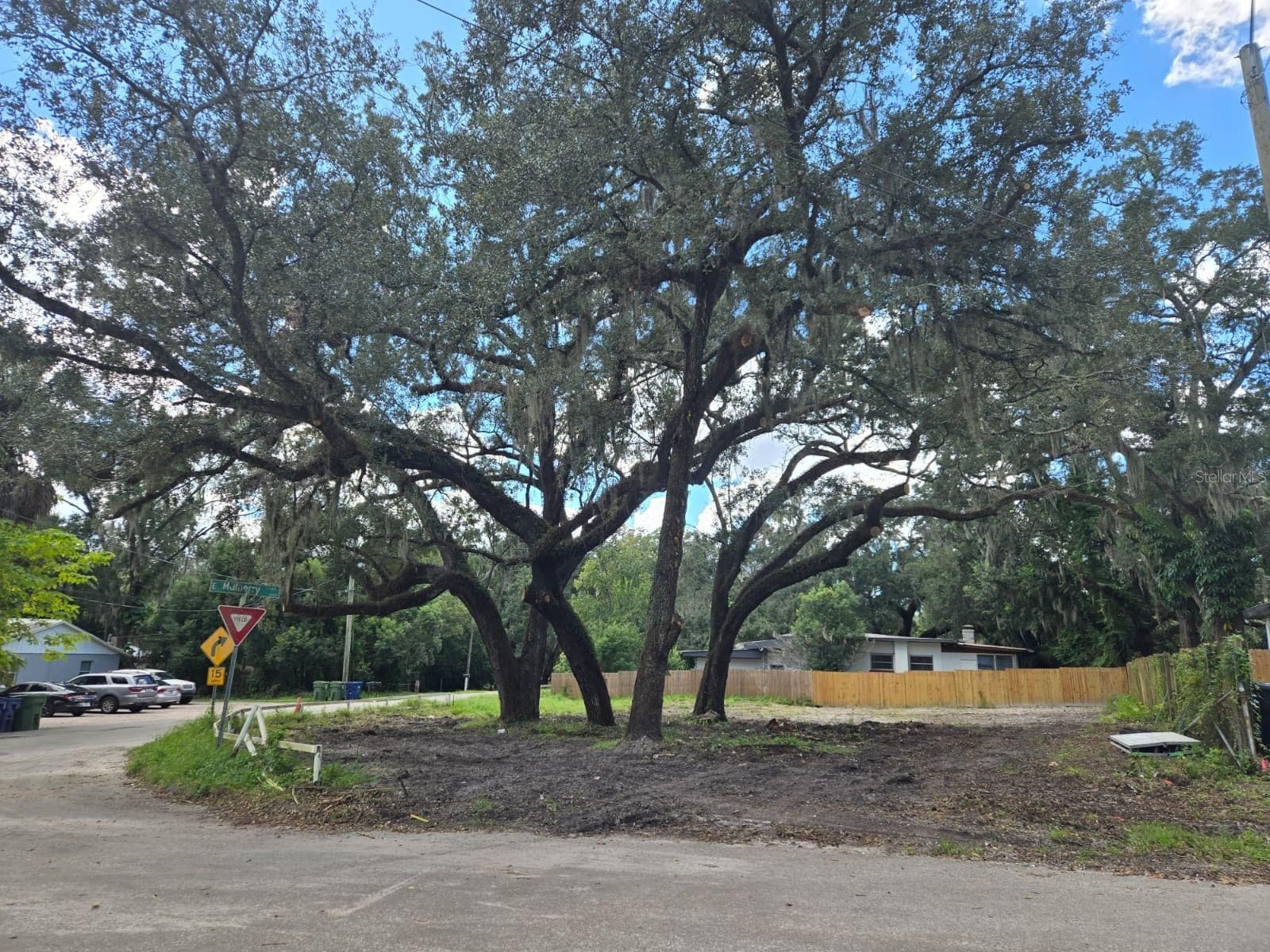 View of a corner lot from the street - FERN CLIFF, TAMPA