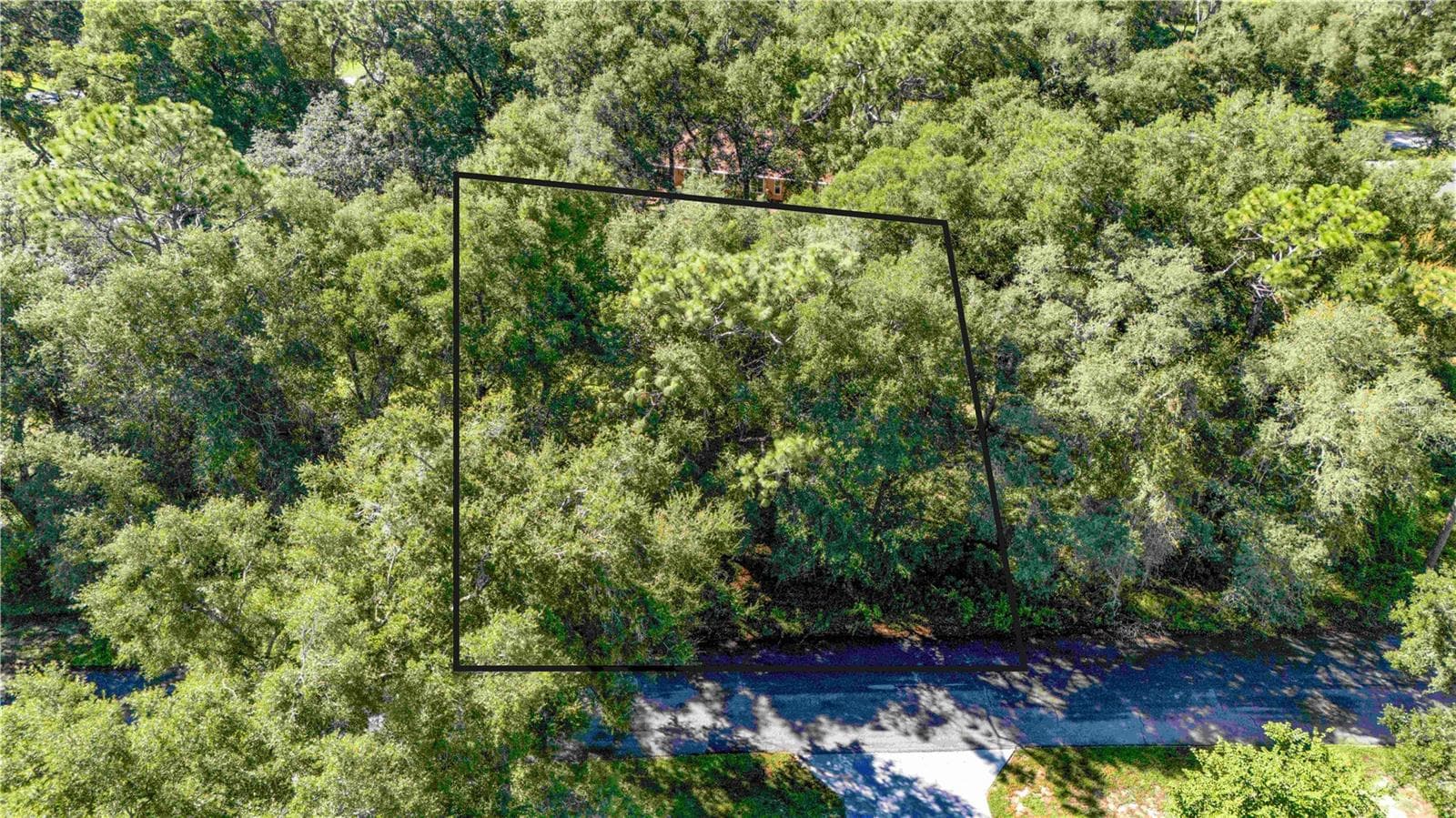 Land at 00 DIPLOMAT ST, DADE CITY, photo 3 of 5