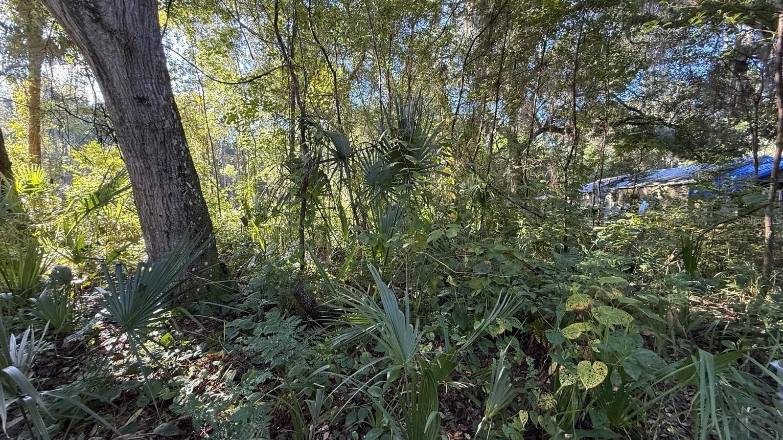 Land at 107 1ST ST, CRESCENT CITY, photo 5 of 6