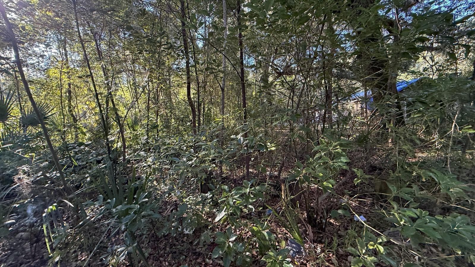 Land at 107 1ST ST, CRESCENT CITY, photo 6 of 6