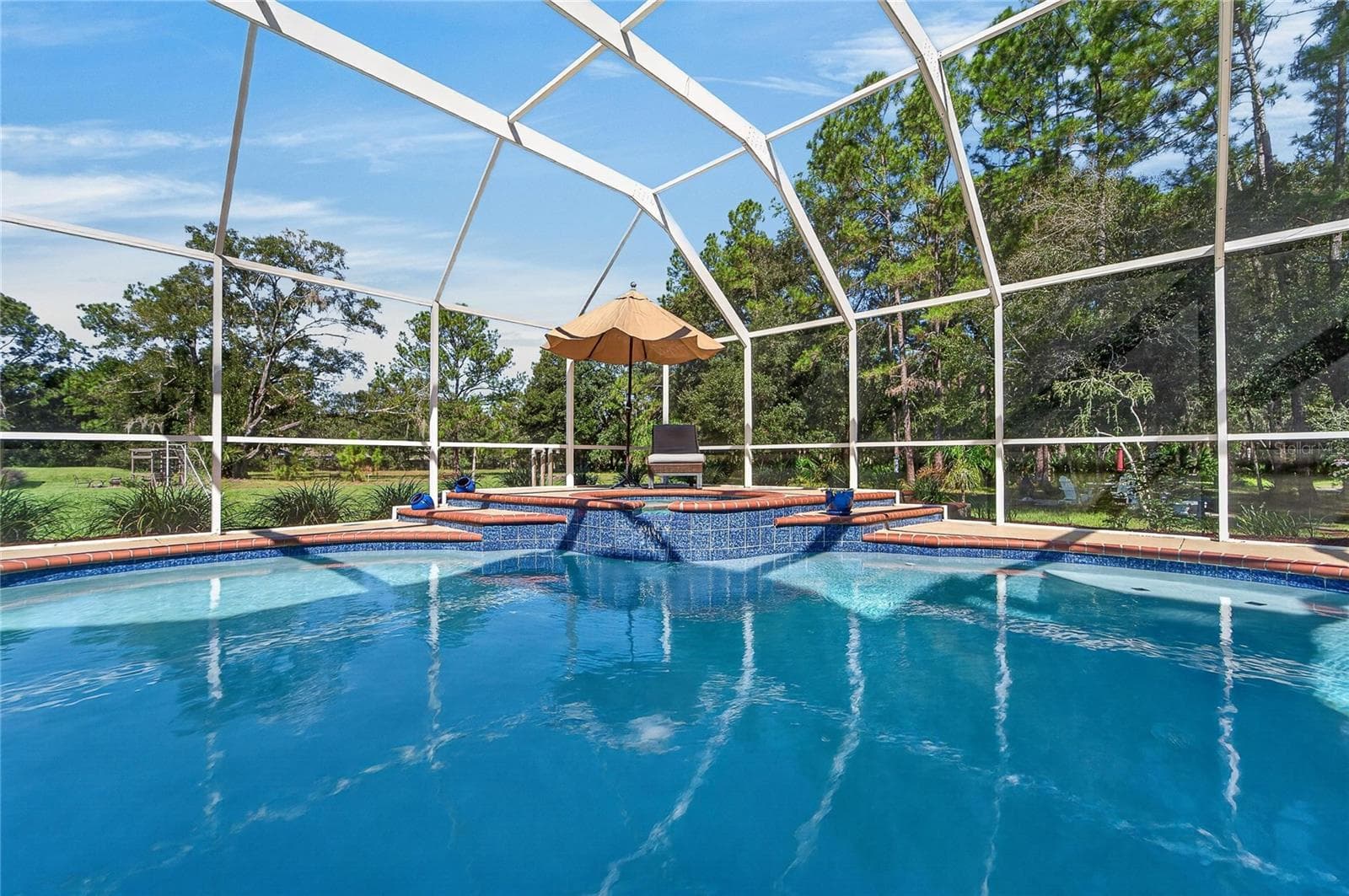 Large screened in pool - 28329 LINDENHURST DR, WESLEY CHAPEL