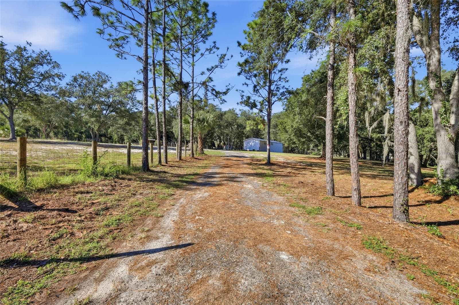 Driveway up to home & property - 2138 LAKE ELLA RD, FRUITLAND PARK
