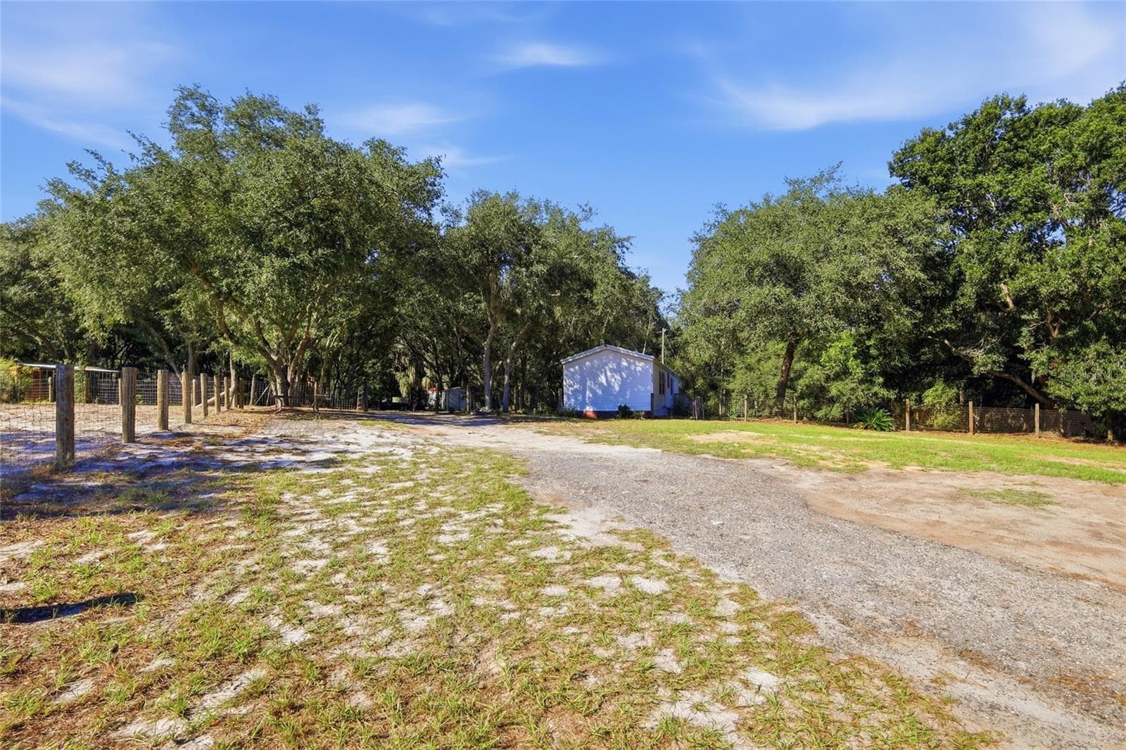 Driveway up to home - 2138 LAKE ELLA RD, FRUITLAND PARK