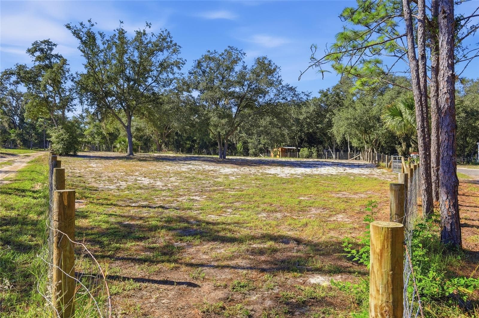 1 of 3 large fenced in areas - 2138 LAKE ELLA RD, FRUITLAND PARK