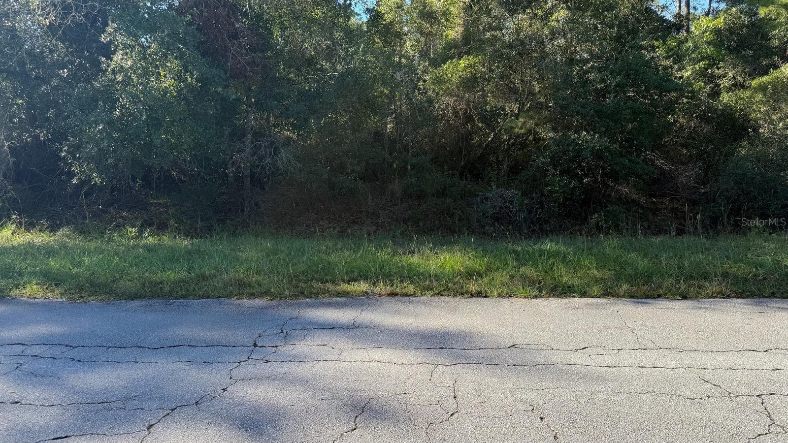 Land at 109 S GEORGETOWN POINT RD, GEORGETOWN, photo 7 of 16