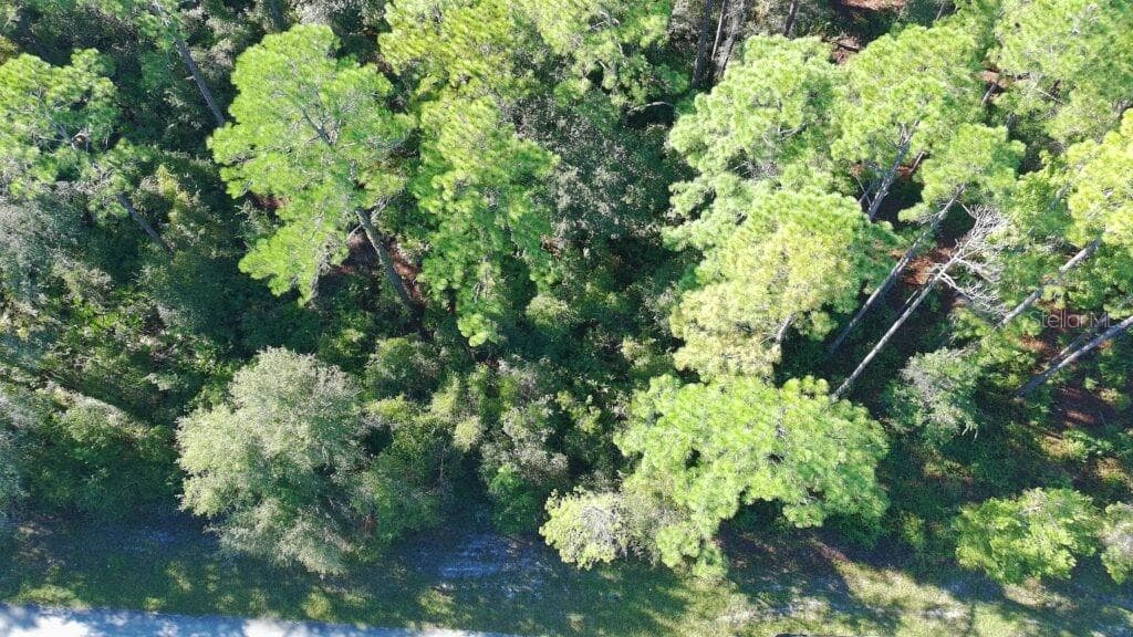 Land at 109 S GEORGETOWN POINT RD, GEORGETOWN, photo 11 of 16