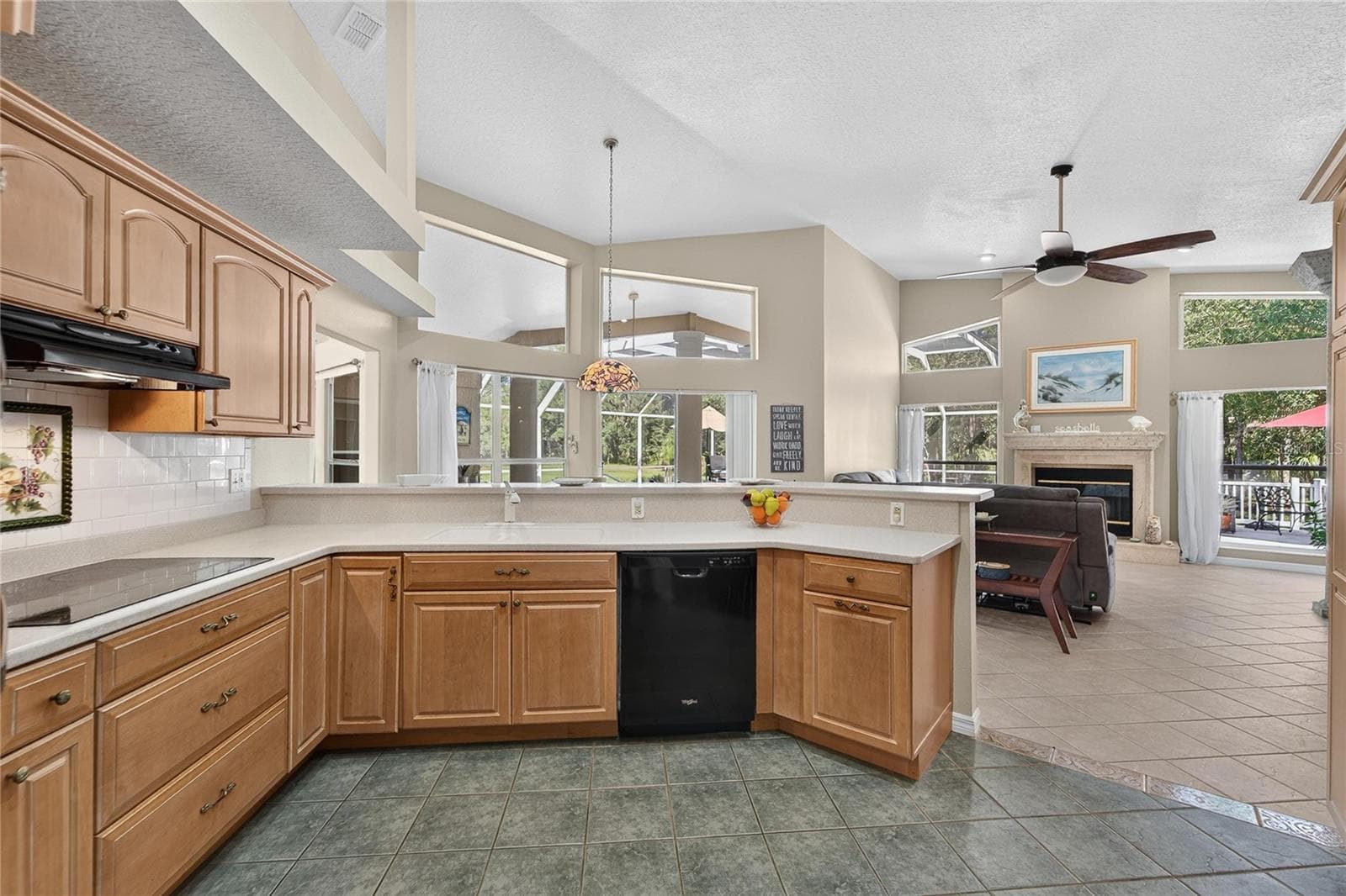 Large kitchen - 0 OLCOTT DR, WESLEY CHAPEL