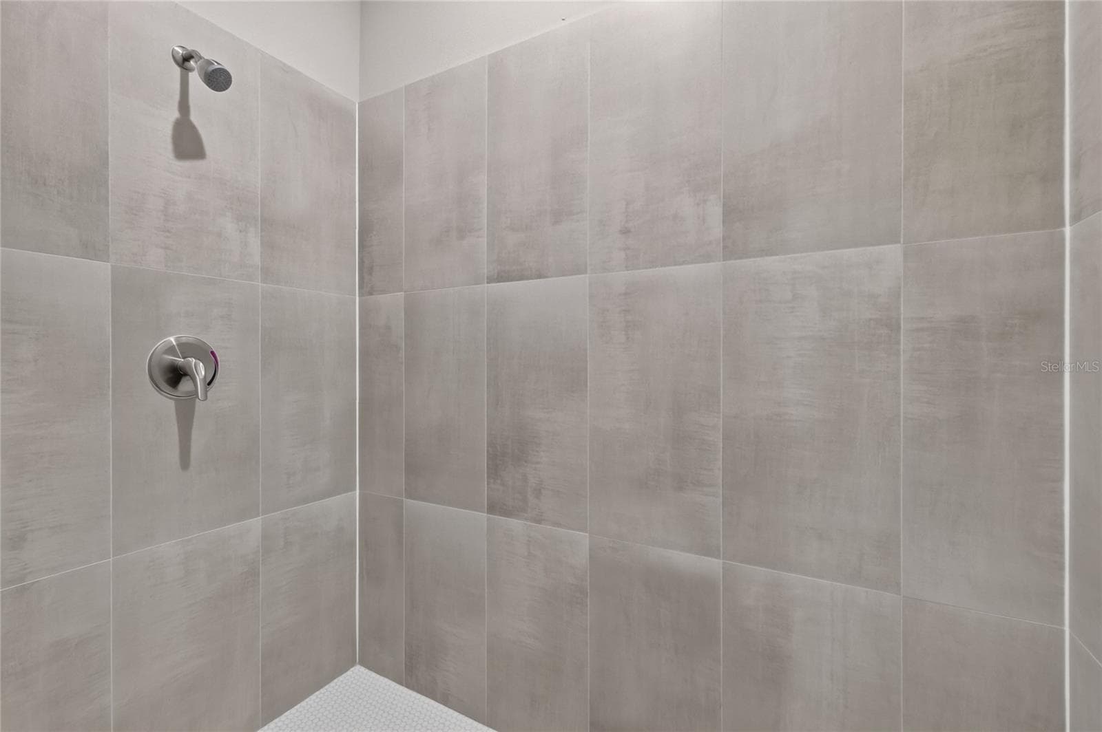 Primary shower - 41428 ROYAL TRAILS RD, EUSTIS