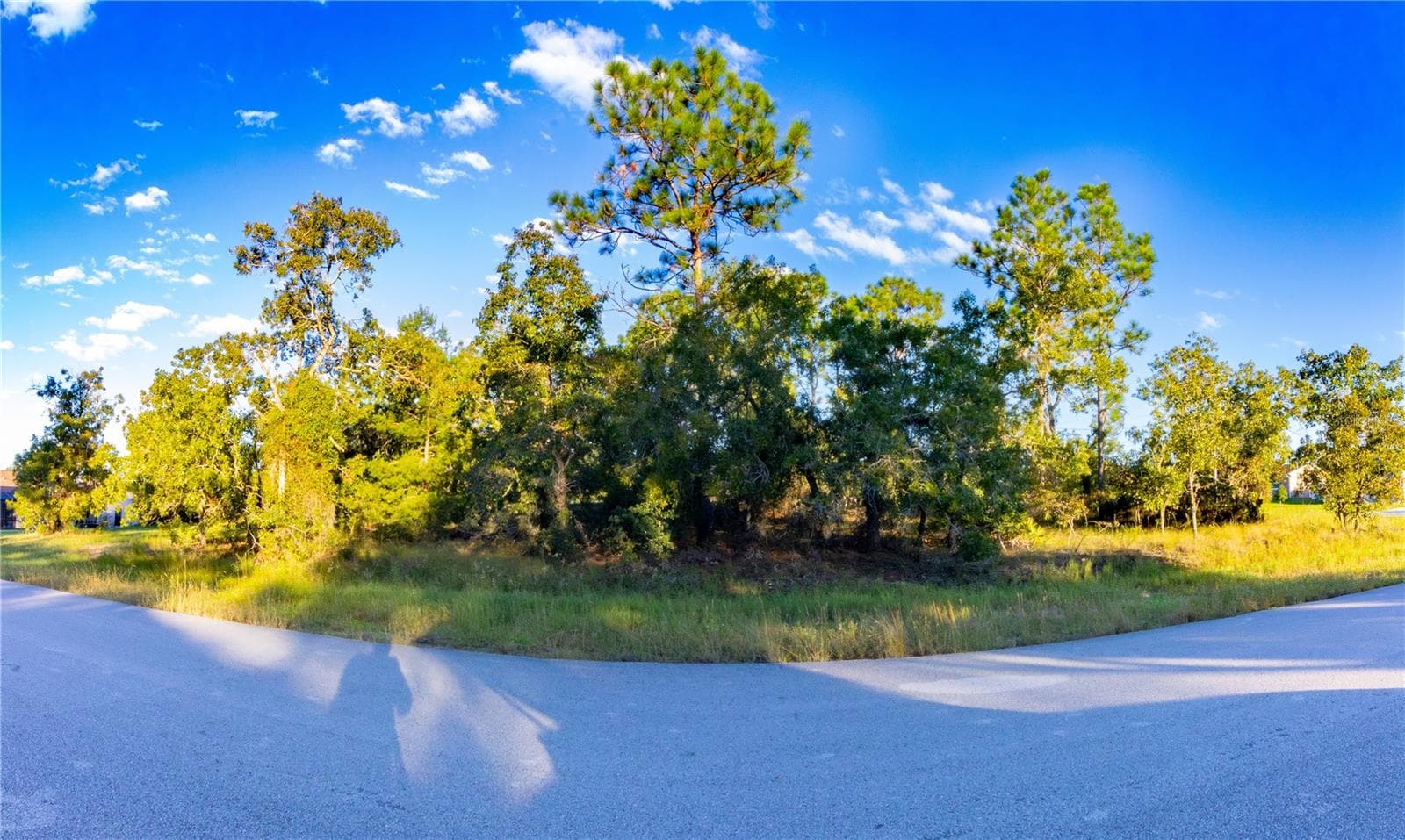 Land at ONEIDA ST, SPRING HILL, photo 4 of 20