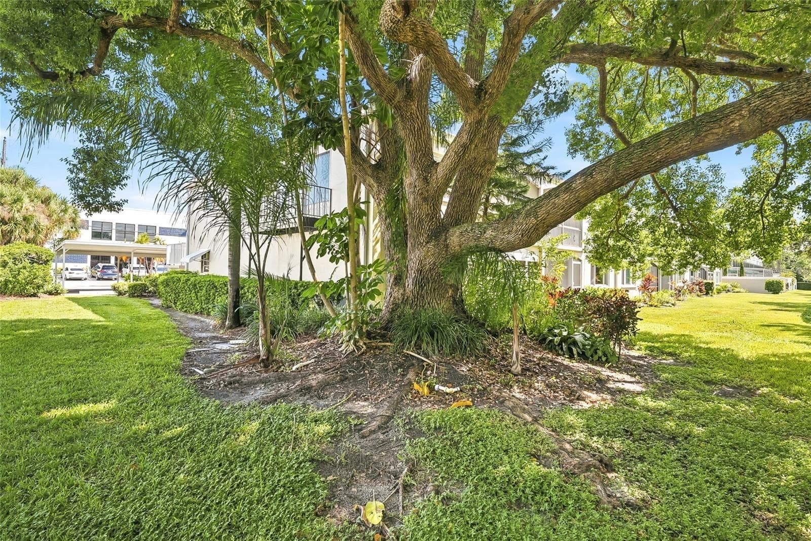 Condominium at 919 OSCEOLA RD #207, BELLEAIR, photo 34 of 39