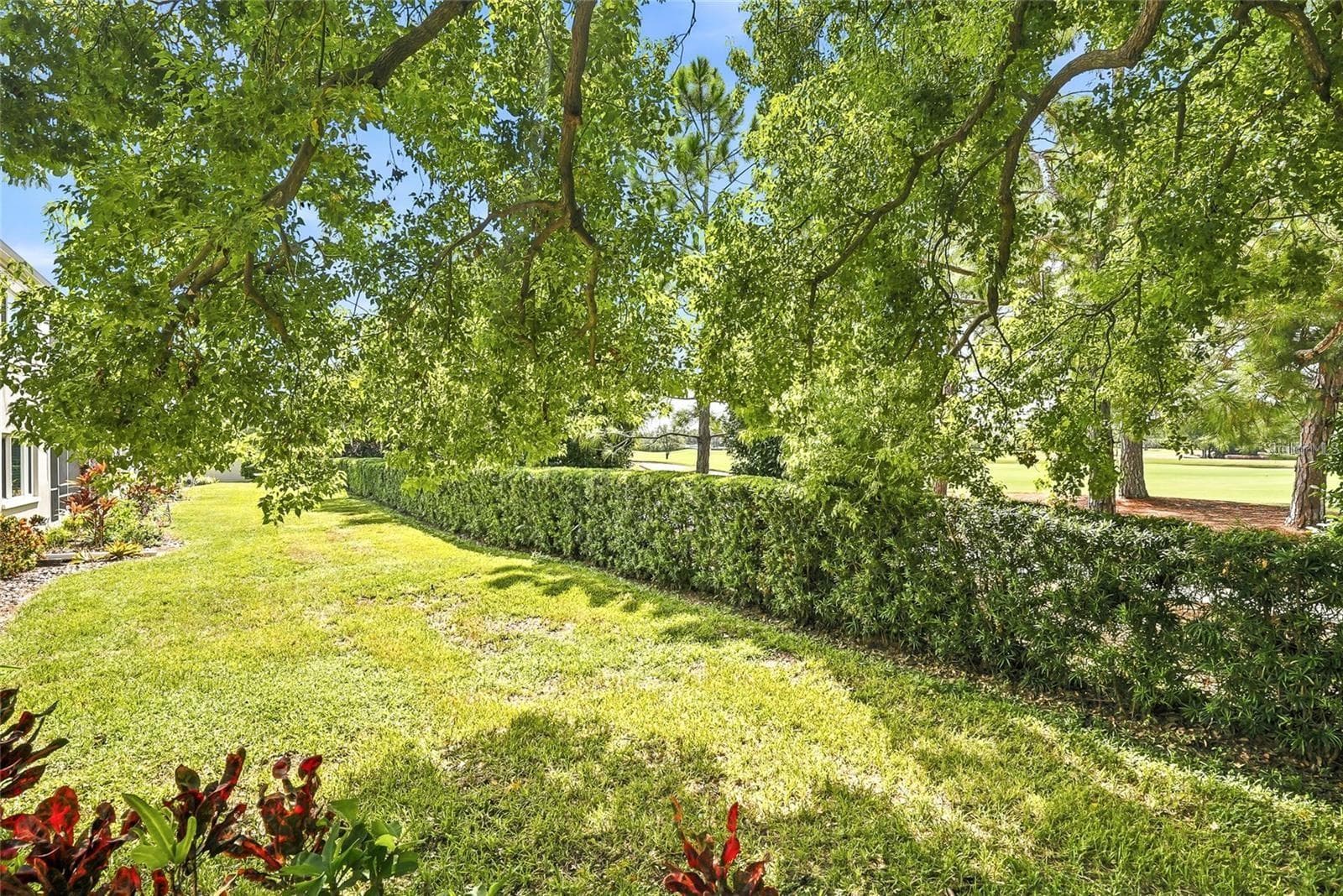 Golf Course - 919 OSCEOLA RD #207, BELLEAIR
