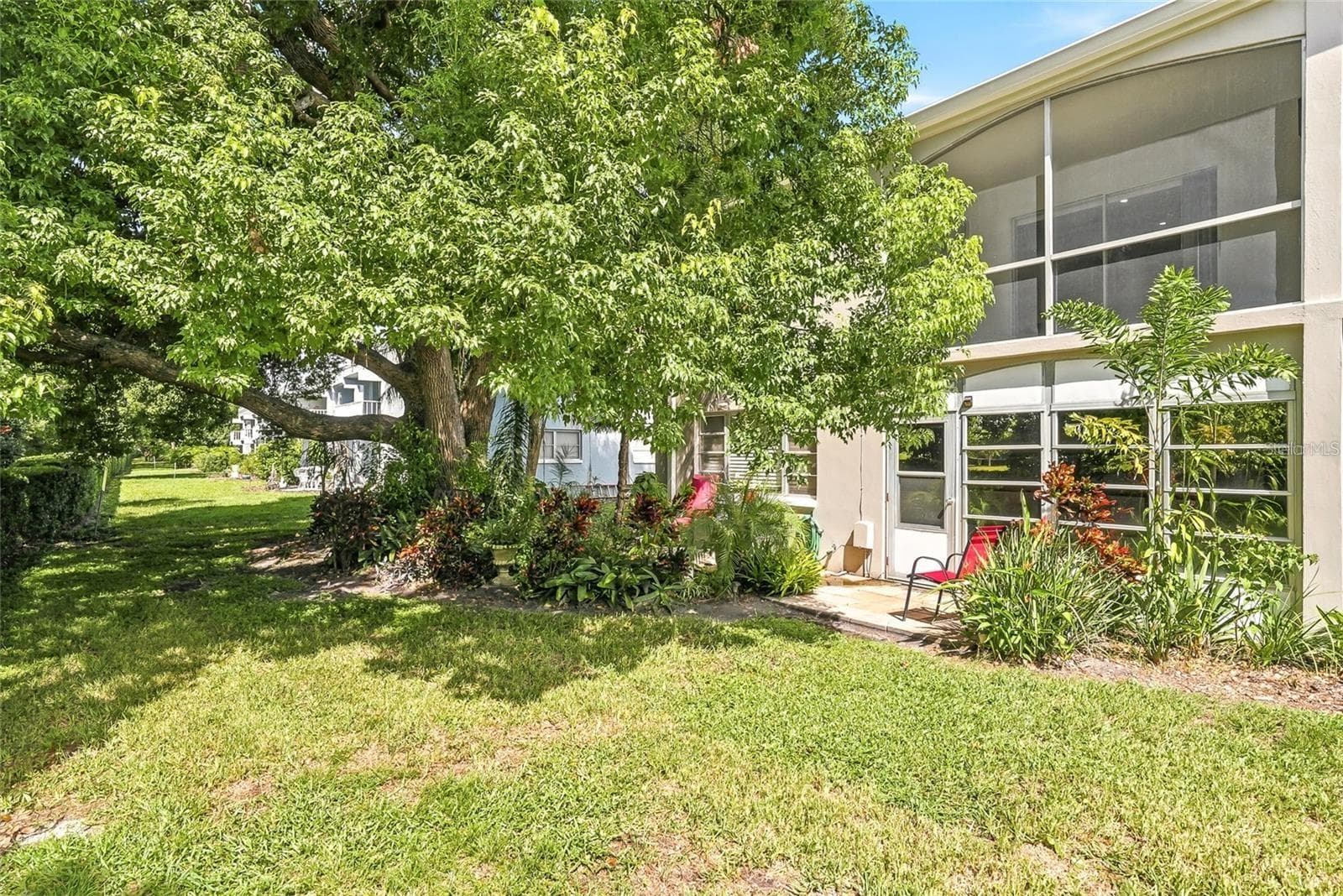Back Yard - 919 OSCEOLA RD #207, BELLEAIR