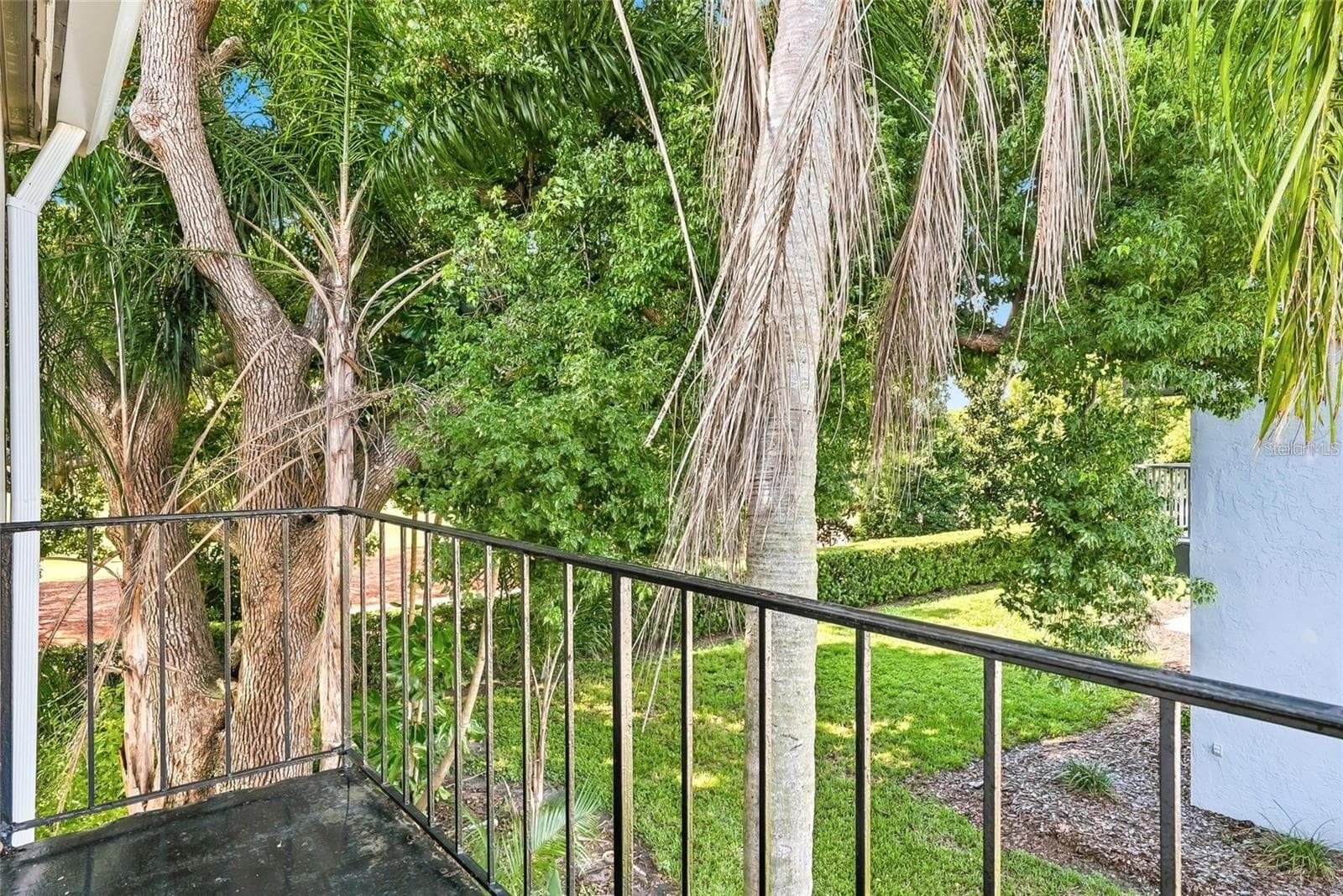 Juliette Balcony - 919 OSCEOLA RD #207, BELLEAIR