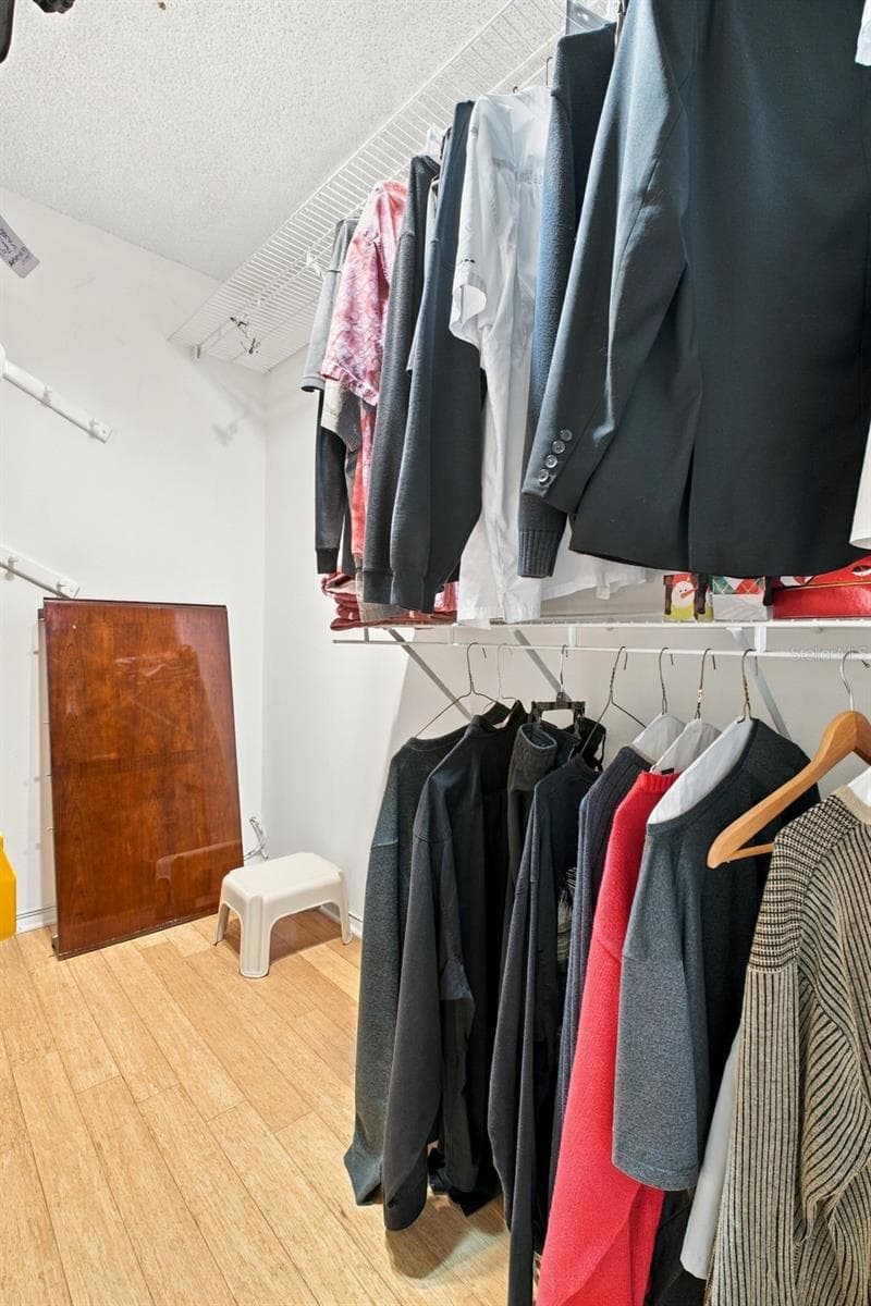 Not just one but TWO huge walk-in closets~ - 1743 MACDONNELL DR, PALM HARBOR