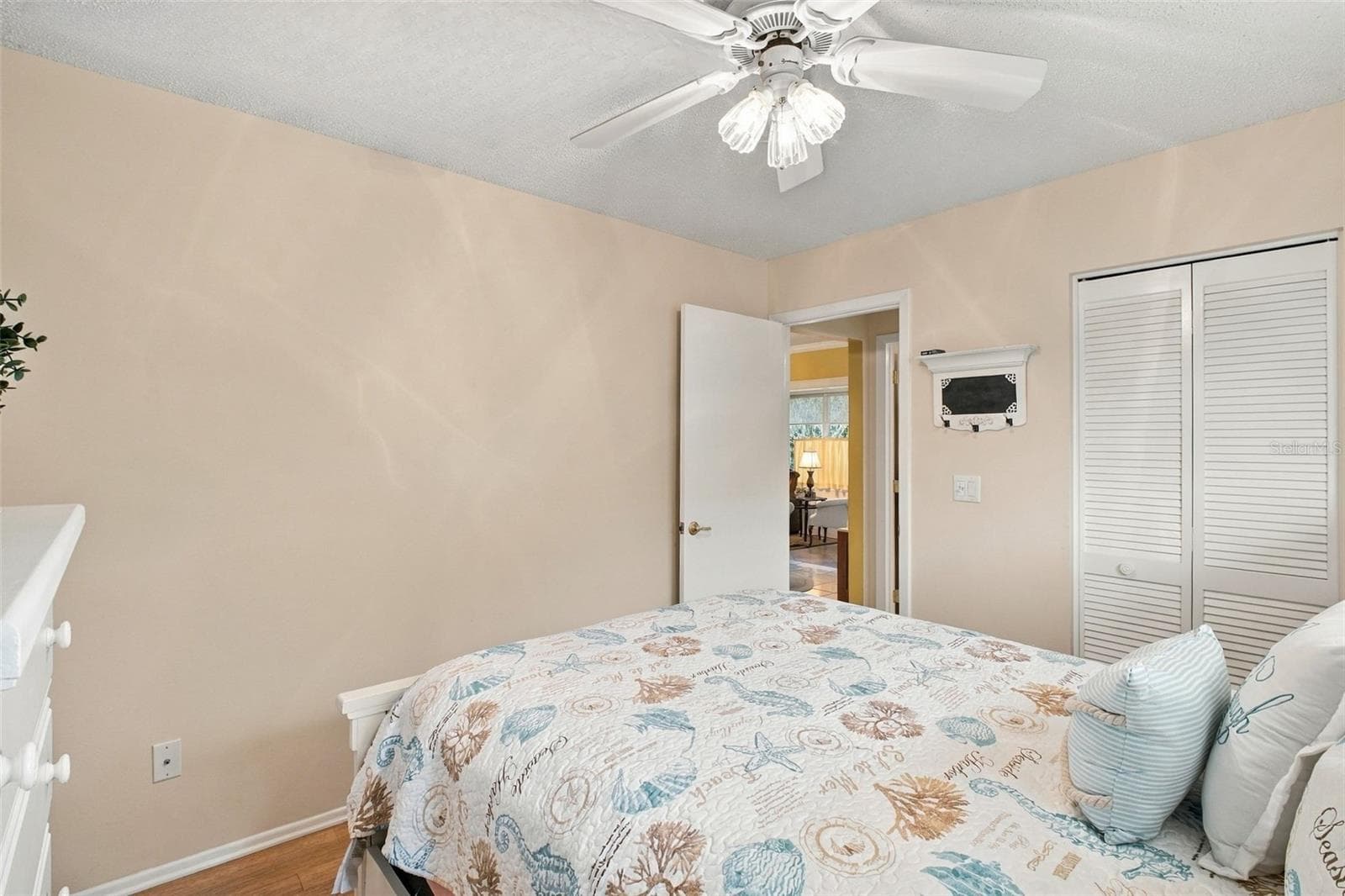 Large walk-in closet for abundant storage and perfectly located by the hall bath~ - 1743 MACDONNELL DR, PALM HARBOR