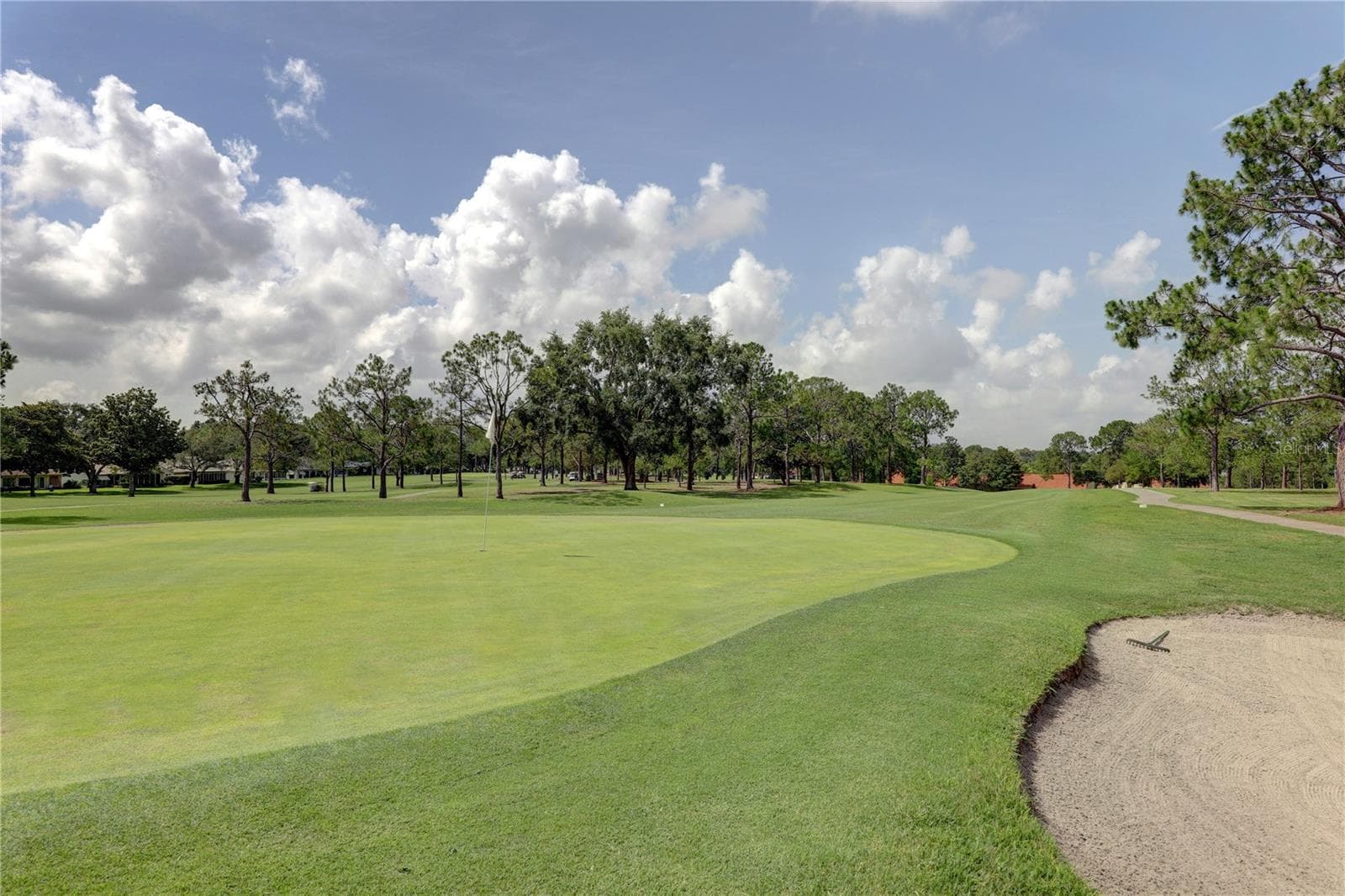 3 private 9-hole executive courses to choose from~ - 1743 MACDONNELL DR, PALM HARBOR