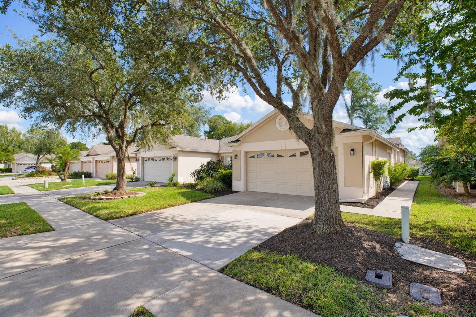 Side Exterior - 31421 SHAKER CIR, WESLEY CHAPEL