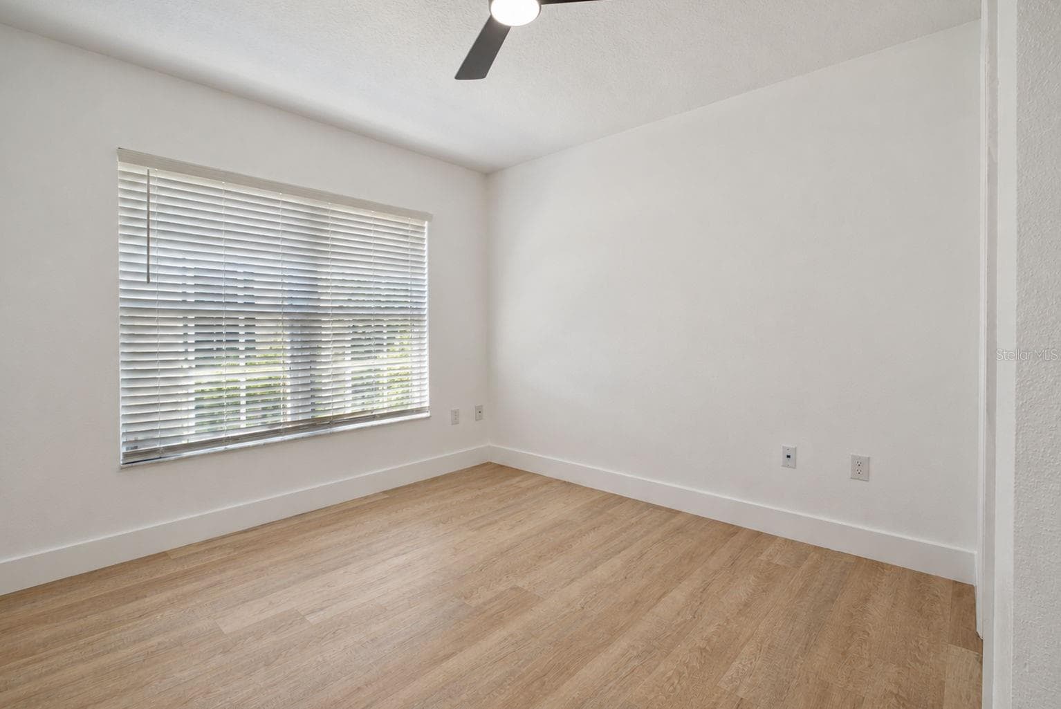Second Bedroom - 31421 SHAKER CIR, WESLEY CHAPEL