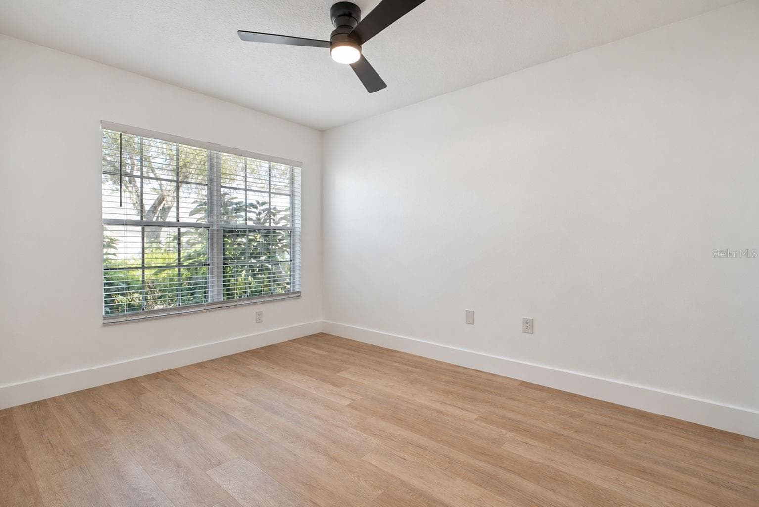 Third Bedroom - 31421 SHAKER CIR, WESLEY CHAPEL