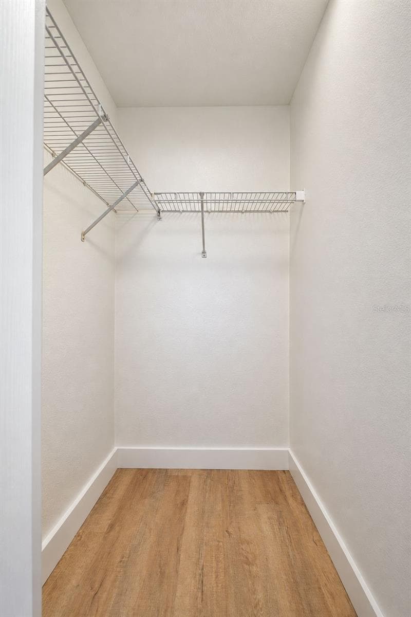 Third Bedroom Closet - 31421 SHAKER CIR, WESLEY CHAPEL
