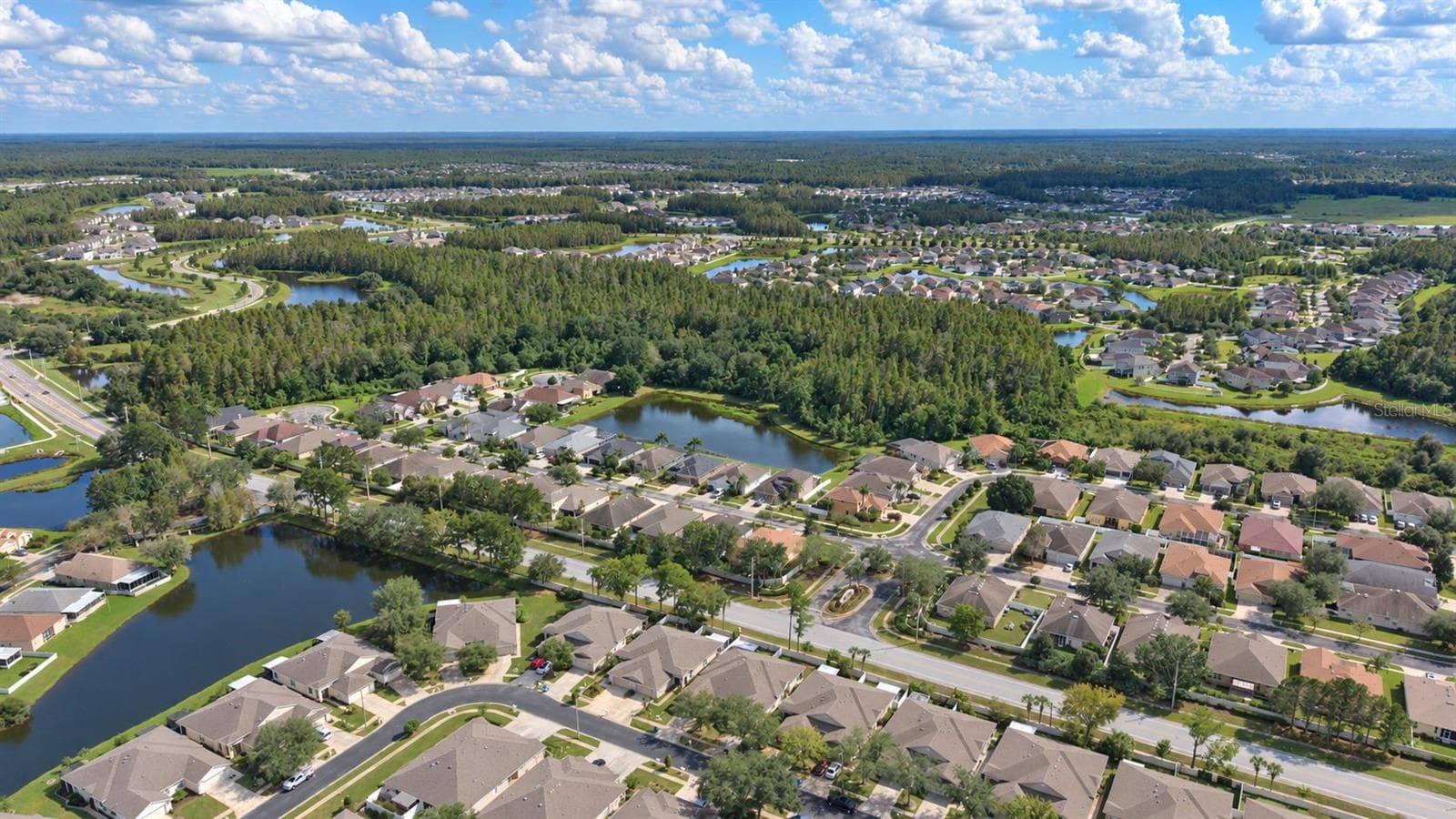 Aerial View - 31421 SHAKER CIR, WESLEY CHAPEL