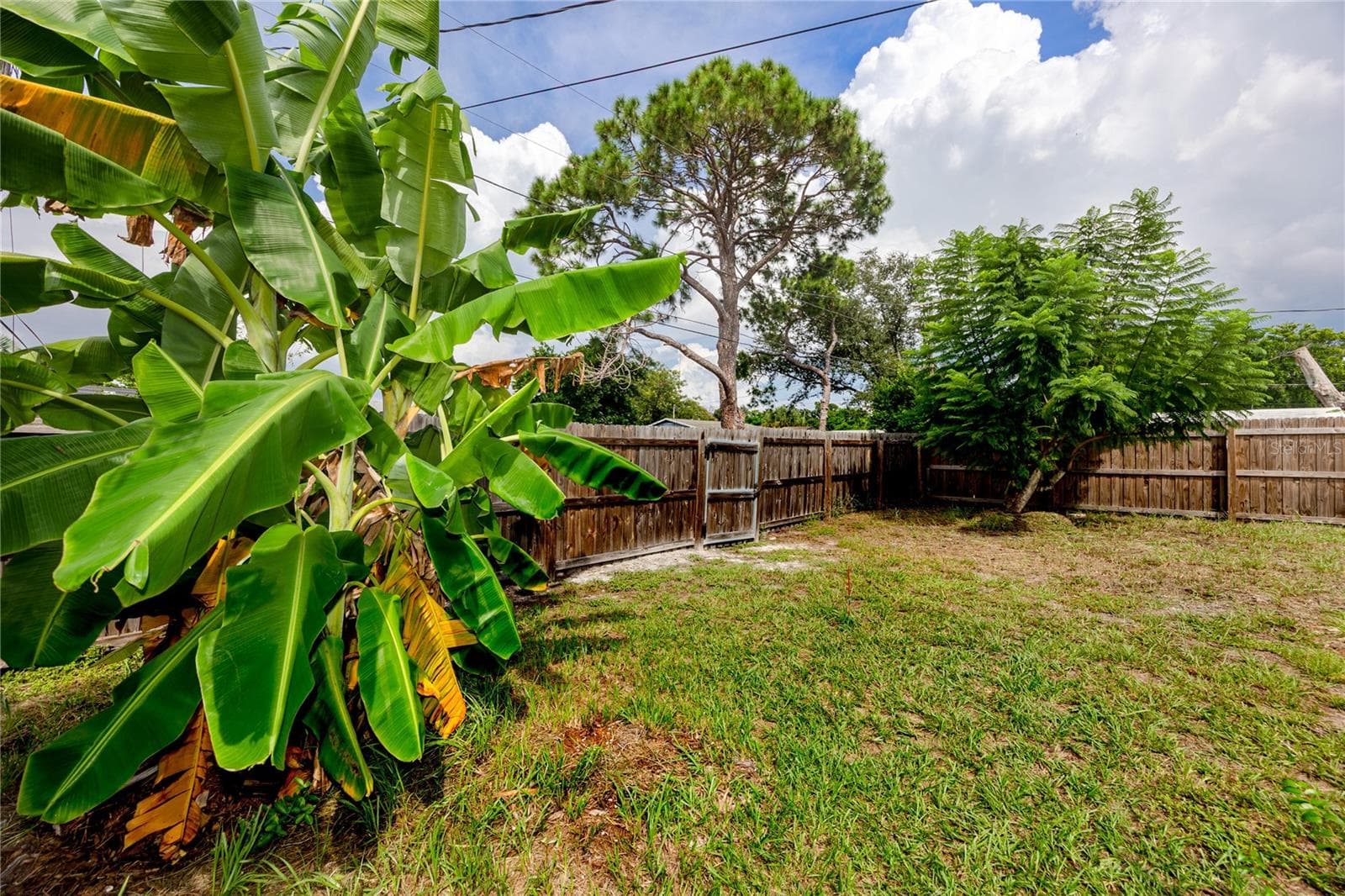 Backyard with back alley access - 5735 BURLINGTON AVE N, ST PETERSBURG