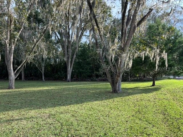 Love these trees! - 24683 W US HIGHWAY 27, HIGH SPRINGS