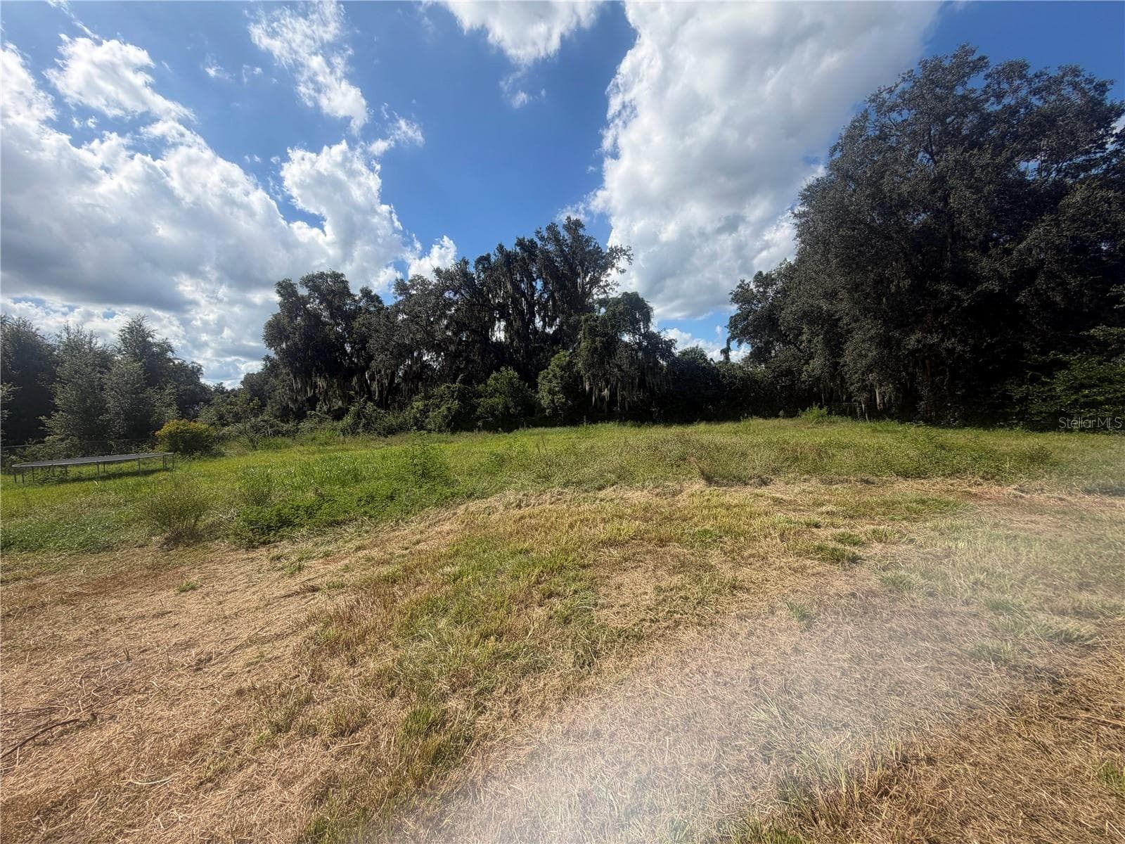 backyard - 4909 MERRIN RD, PLANT CITY