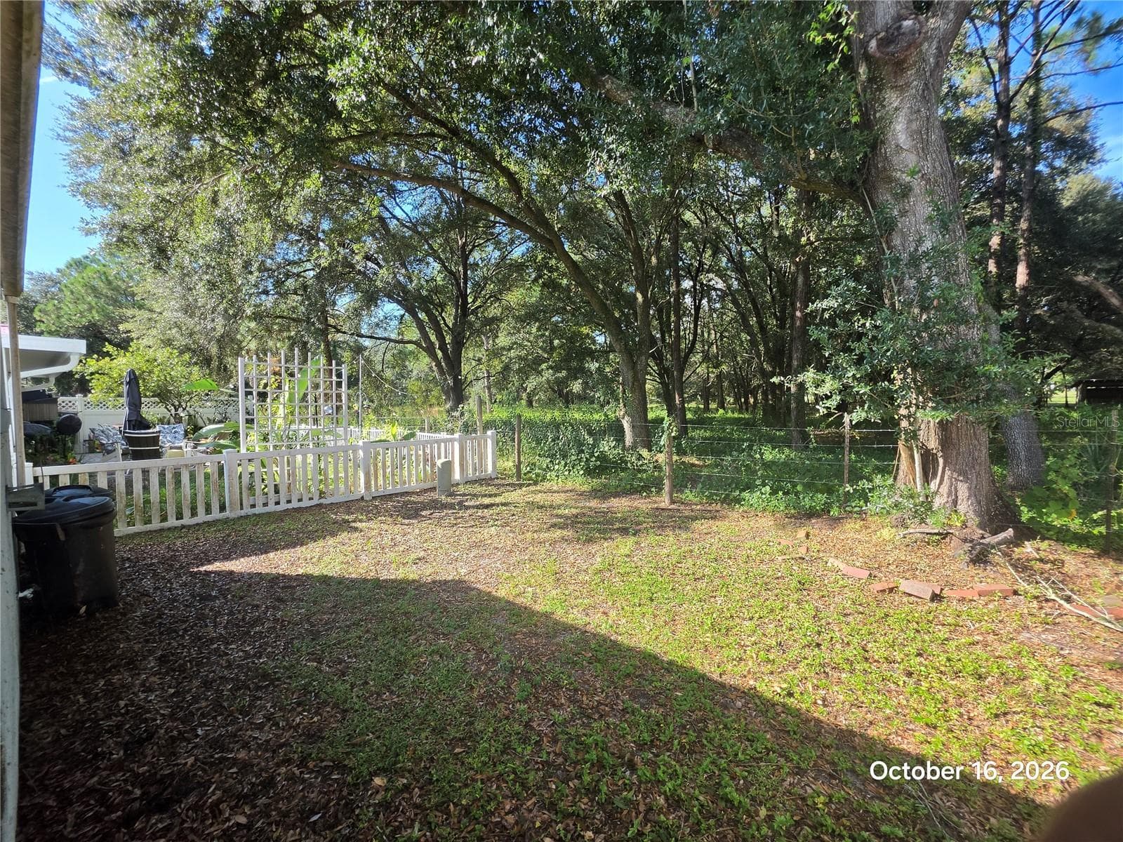 Backyard - 395 SAN JOSE DR, WINTER HAVEN
