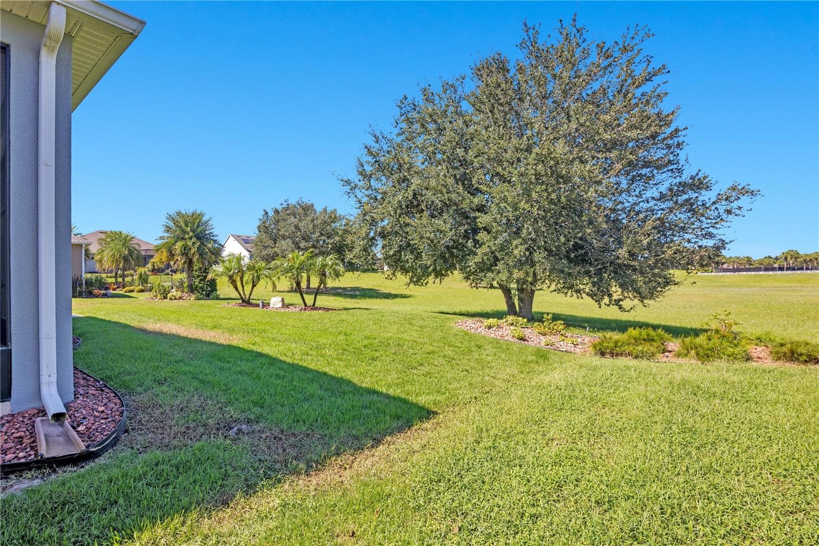 Back yard of Home - 103 BALMY COAST RD, GROVELAND