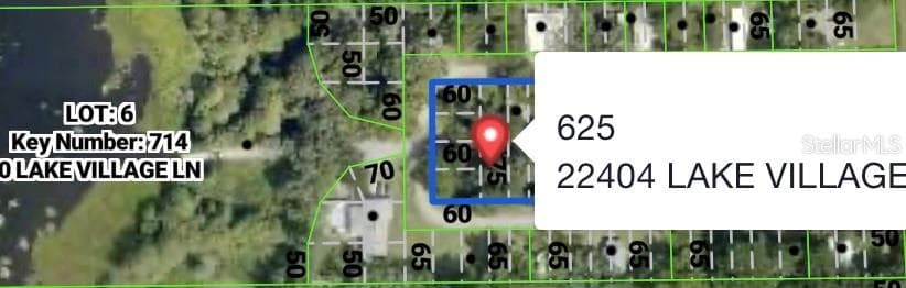 Land at 22404 LAKE VILLAGE LN, BROOKSVILLE, photo 4 of 4