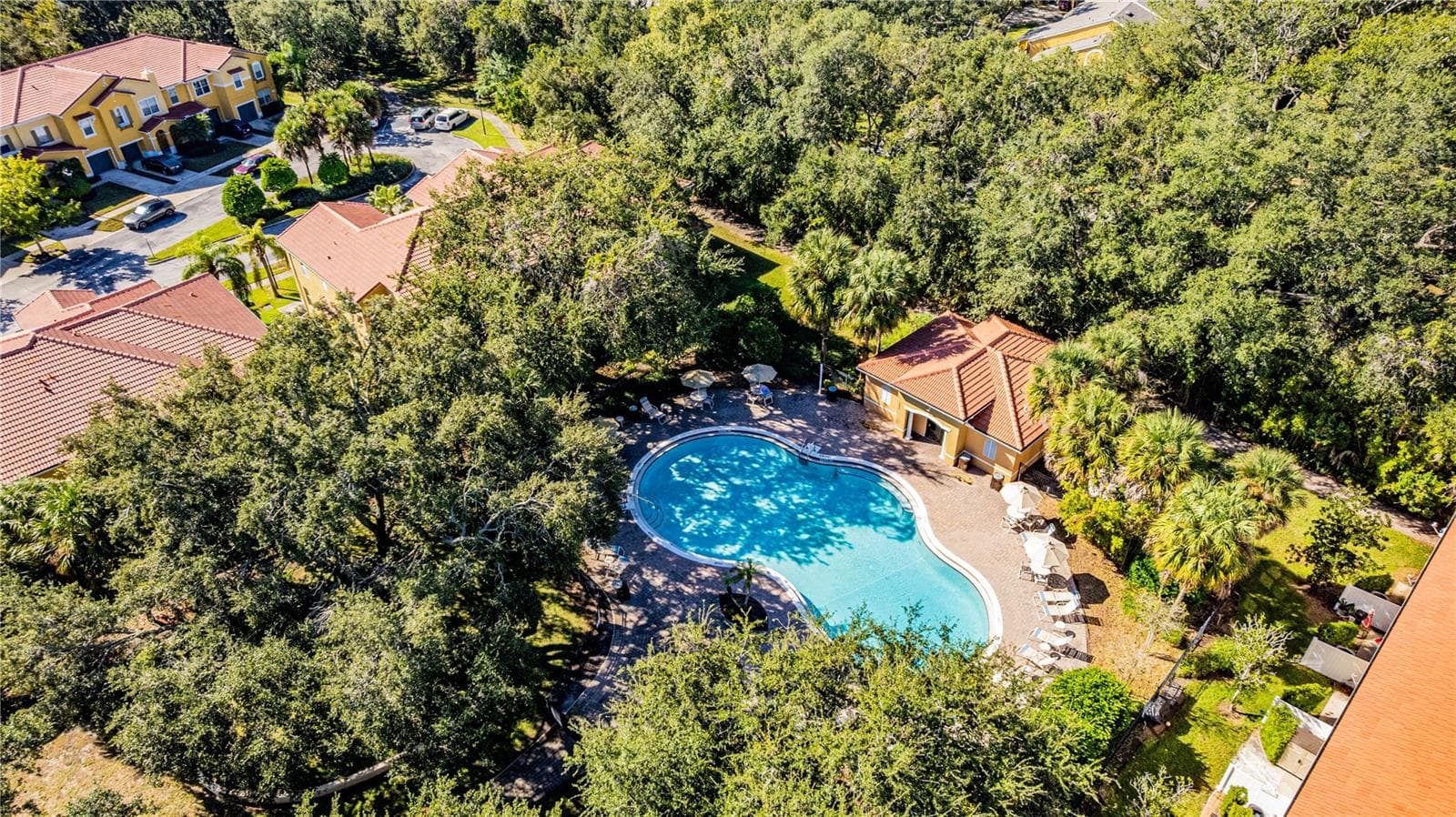 Beautiful mature trees throughout - 5150 CROWN HAVEN DR, KISSIMMEE