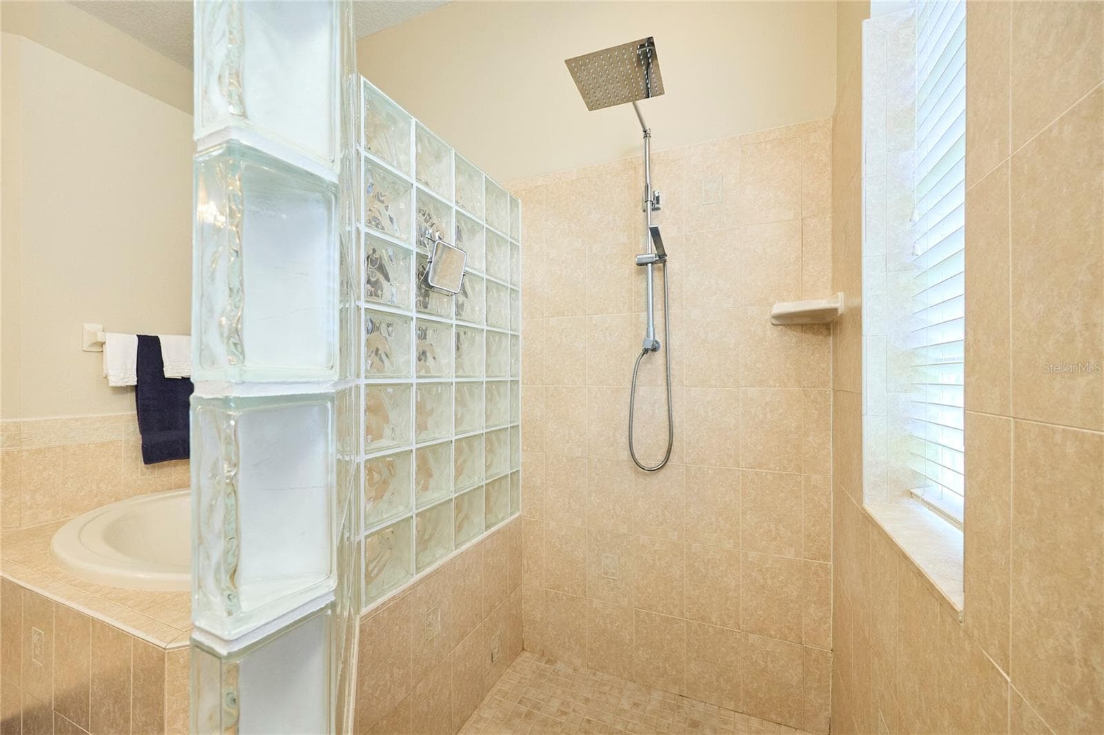 Single Family Residence at 18016 ROYAL FOREST DR, TAMPA, photo 31 of 71