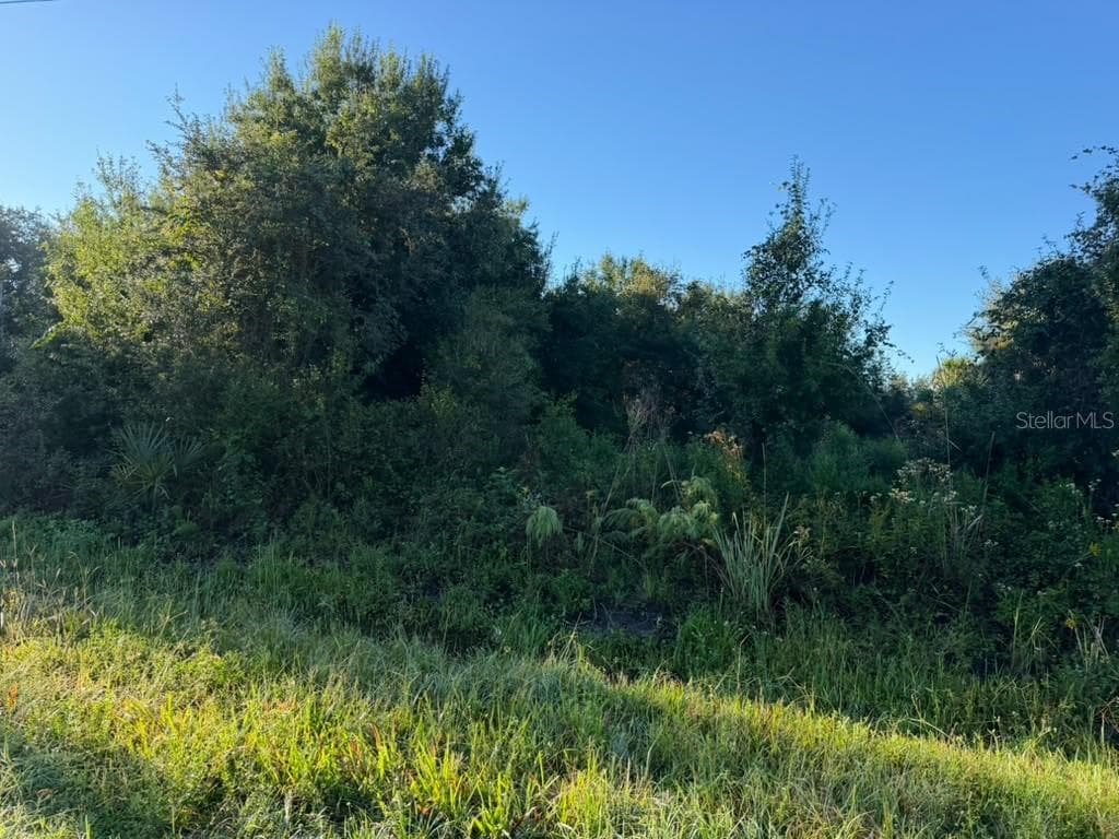 Land at 17660 NW 292ND ST, OKEECHOBEE, photo 2 of 7