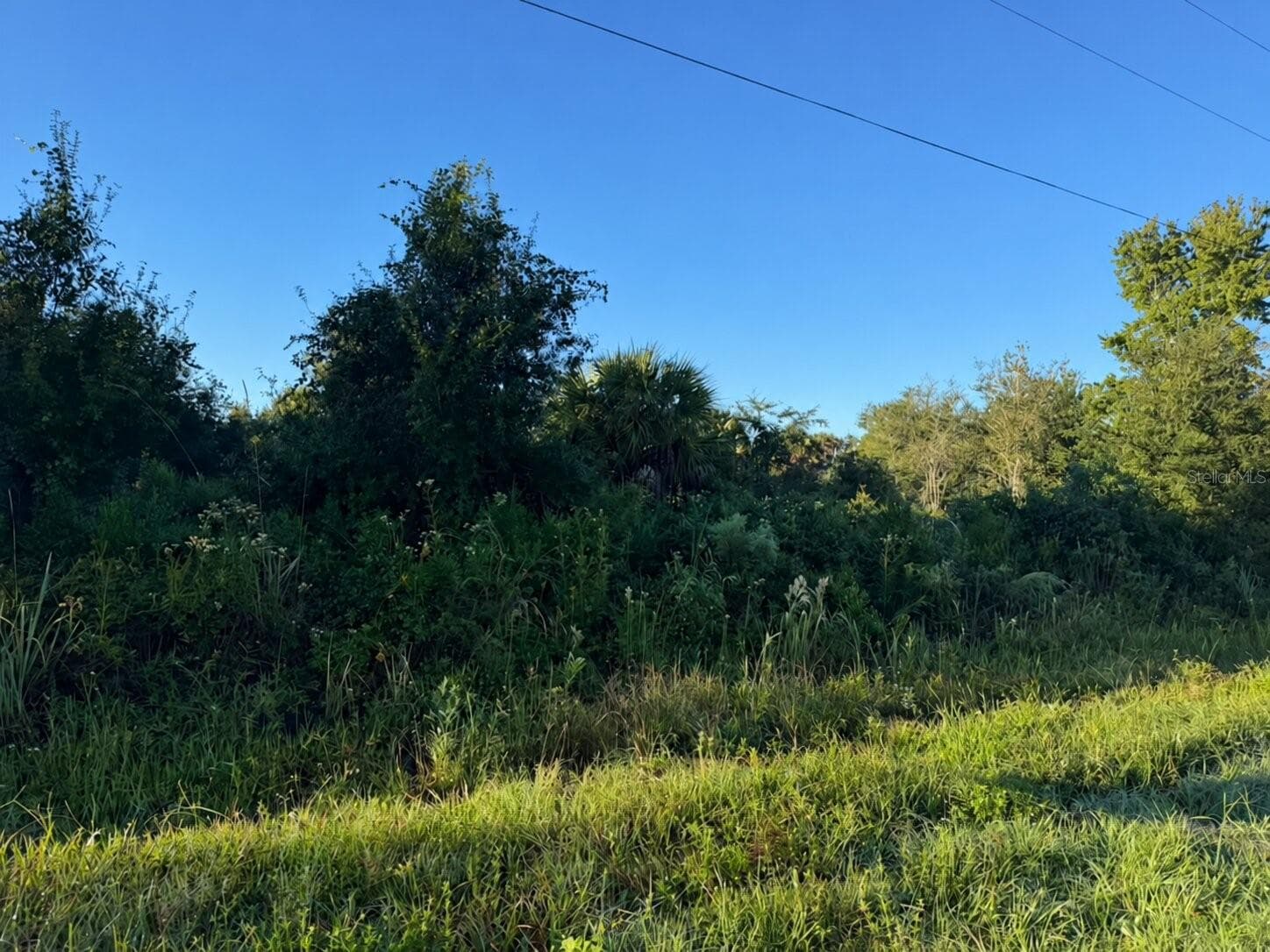 Land at 17660 NW 292ND ST, OKEECHOBEE, photo 6 of 7