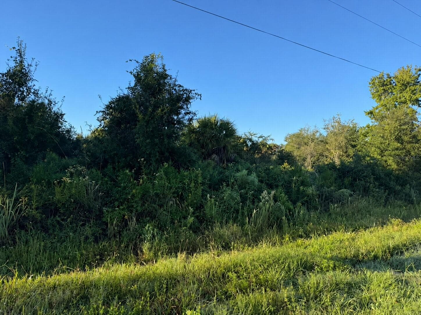 Land at 17660 NW 292ND ST, OKEECHOBEE, photo 7 of 7