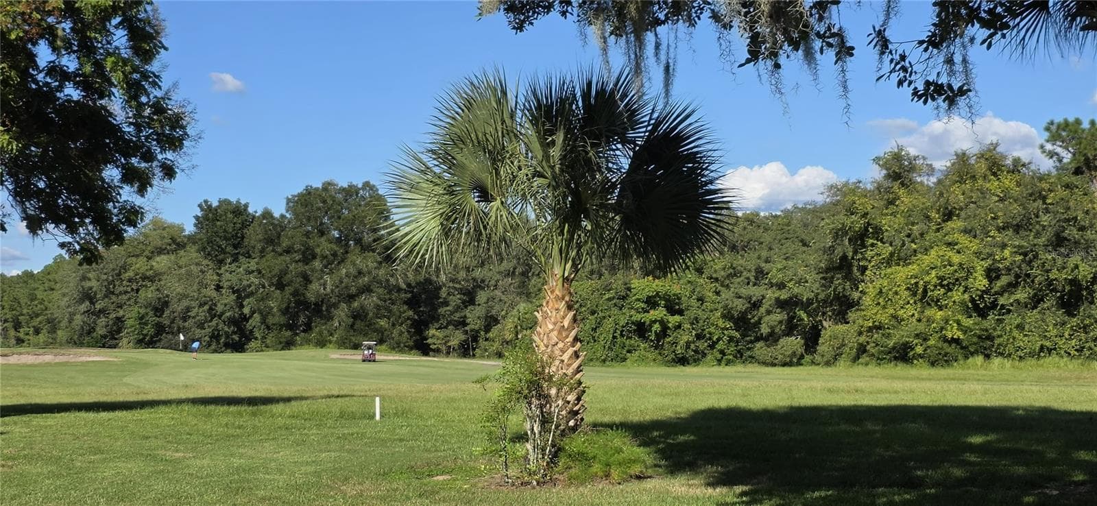 Condominium at 610 MIDWAY DR #A, OCALA, photo 49 of 54