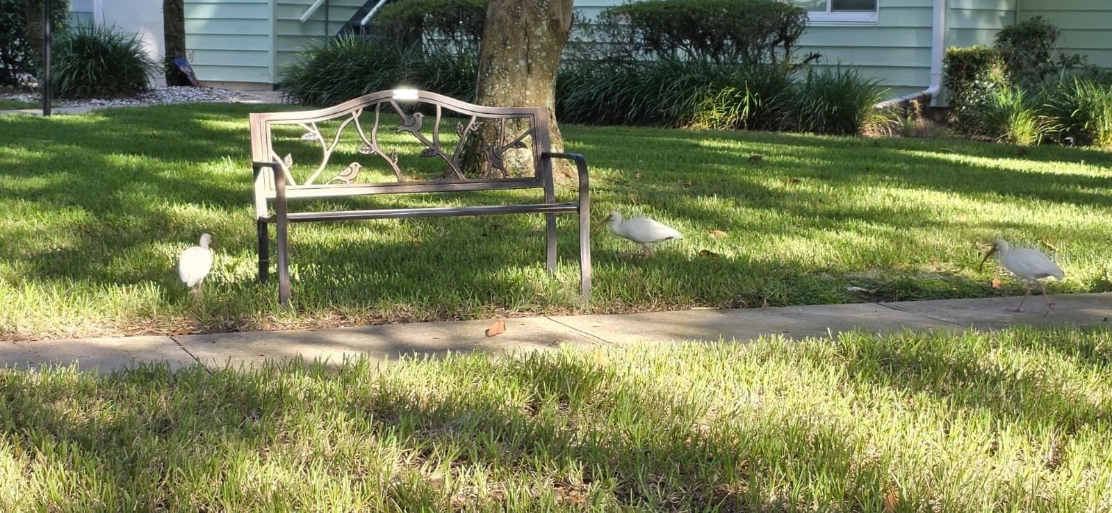 Condominium at 610 MIDWAY DR #A, OCALA, photo 50 of 54