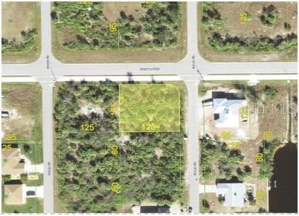 Land at 9477 GALAXIE CIR, PORT CHARLOTTE, photo 2 of 6